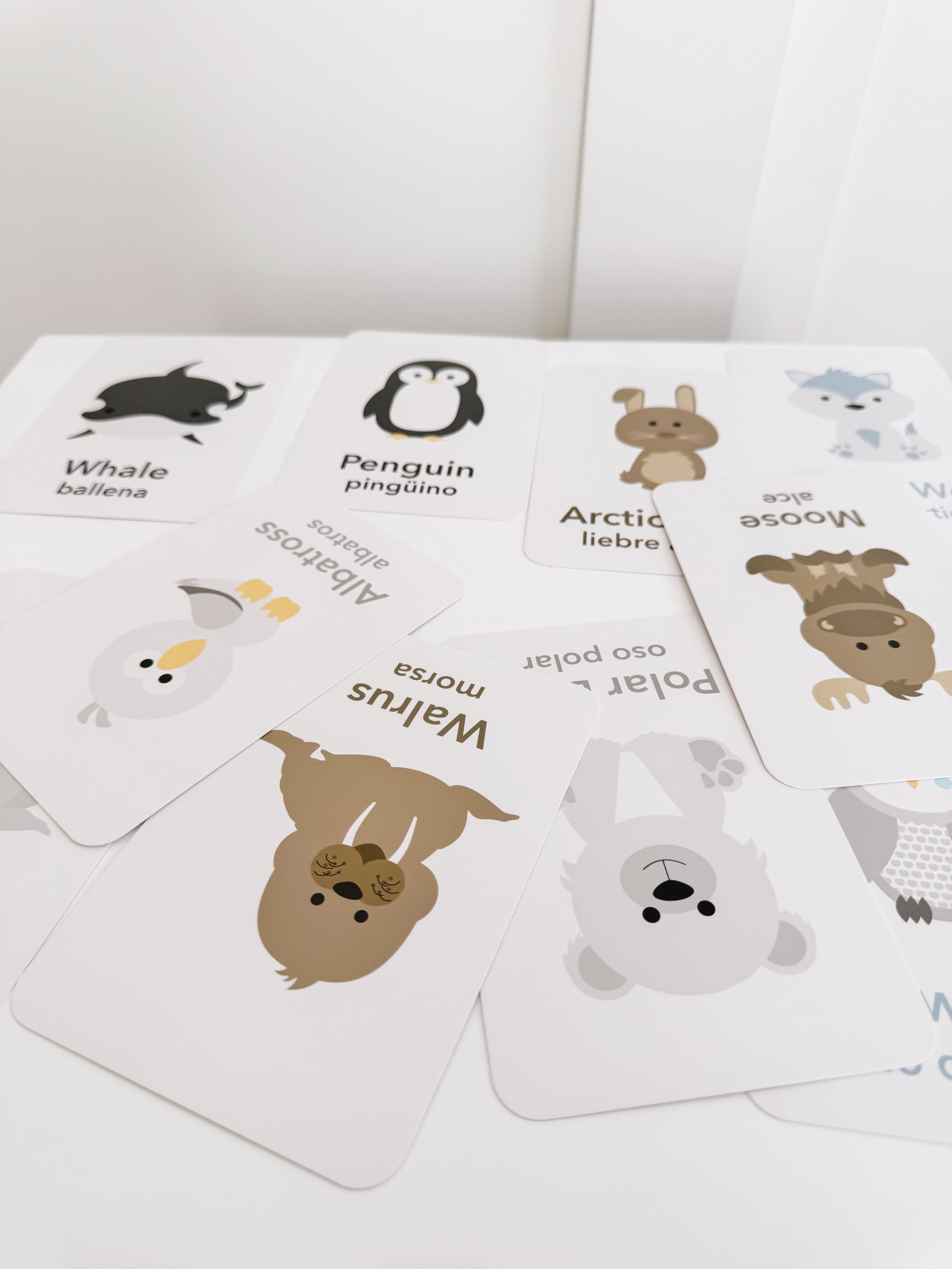 arctic-animals-flashcards-Gift-Baby-Toys-2