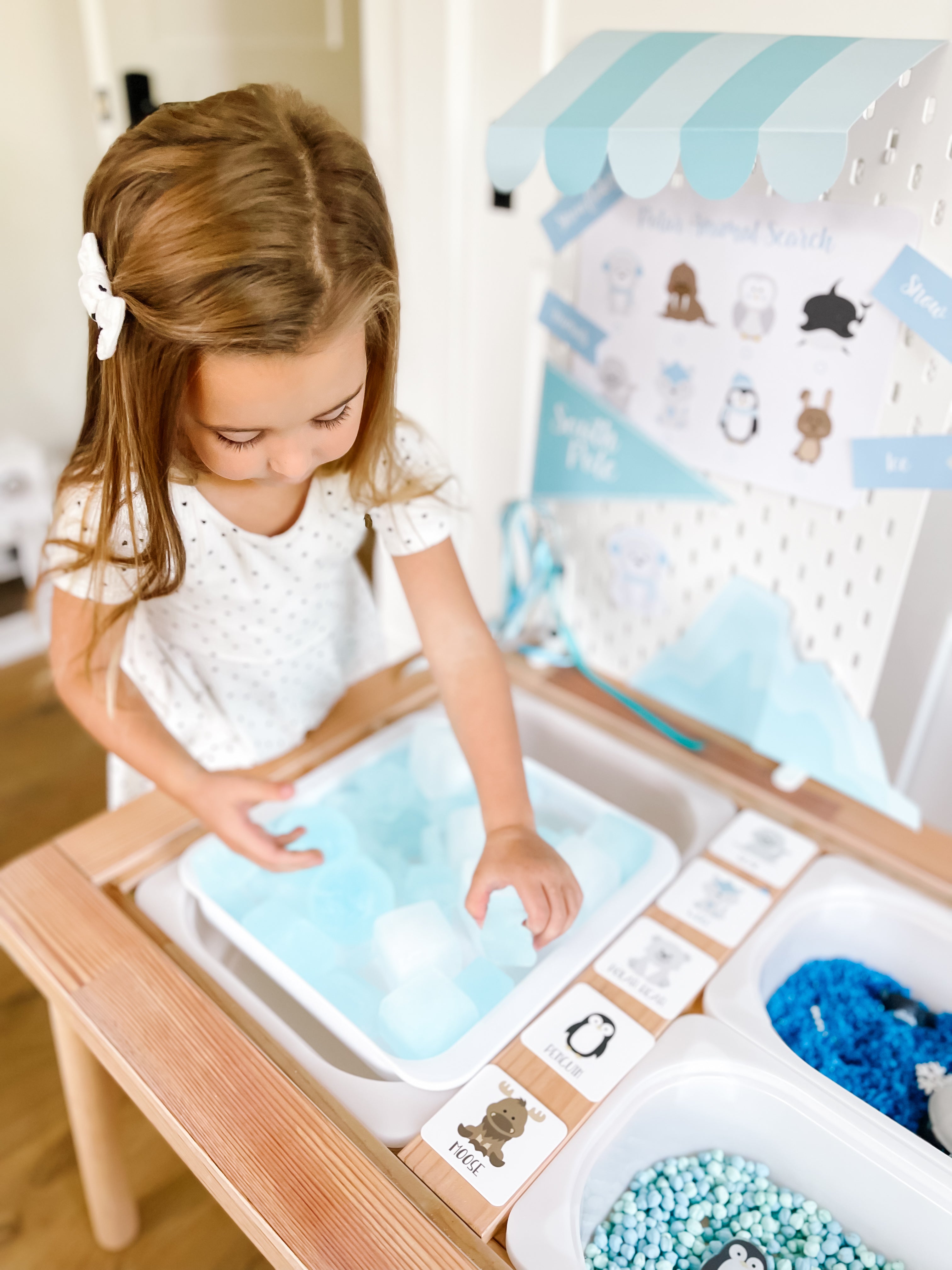 arctic-polar-animals-printable-dramatic-play-Gift-Baby-Toys-55