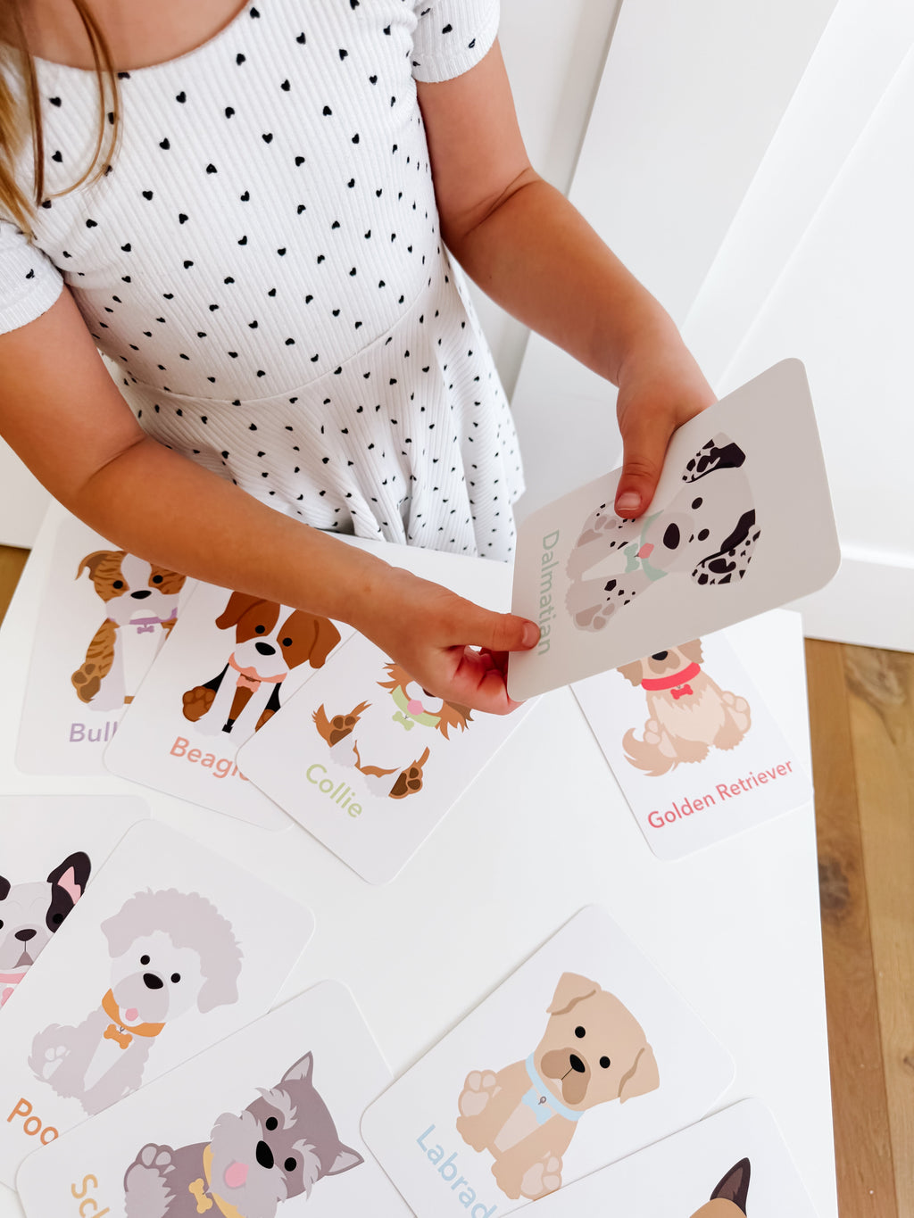 dog-breed-flash-cards-Gift-Baby-Toys-9