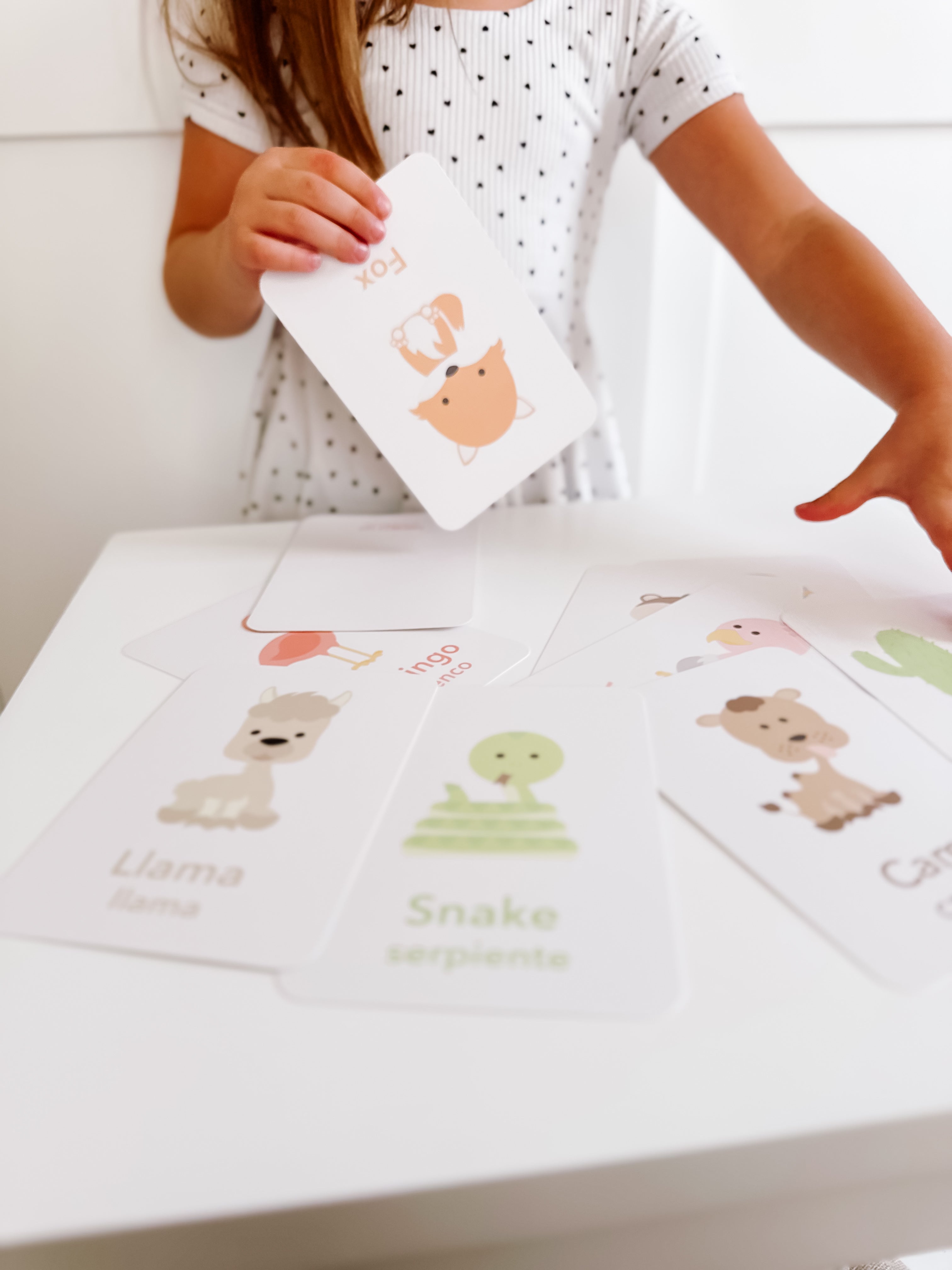 desert-animal-flashcards-Gift-Baby-Toys-1