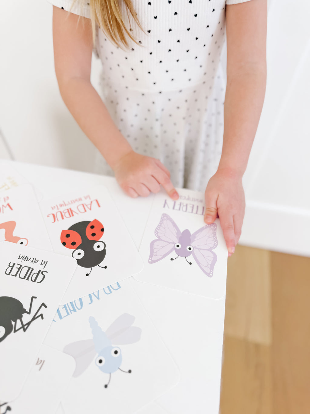 bugs-flashcards-Gift-Baby-Toys-17