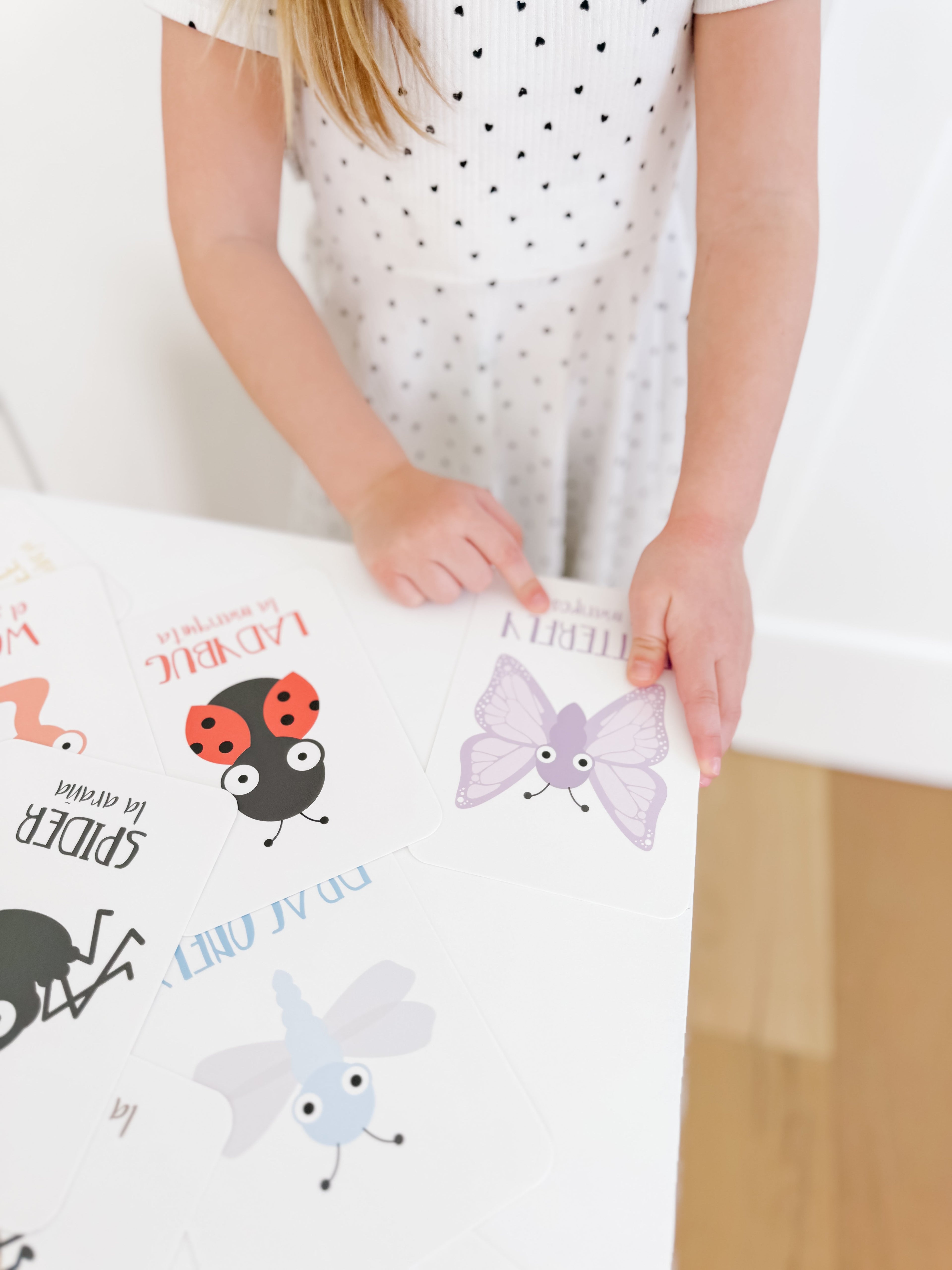 bugs-flashcards-Gift-Baby-Toys-17