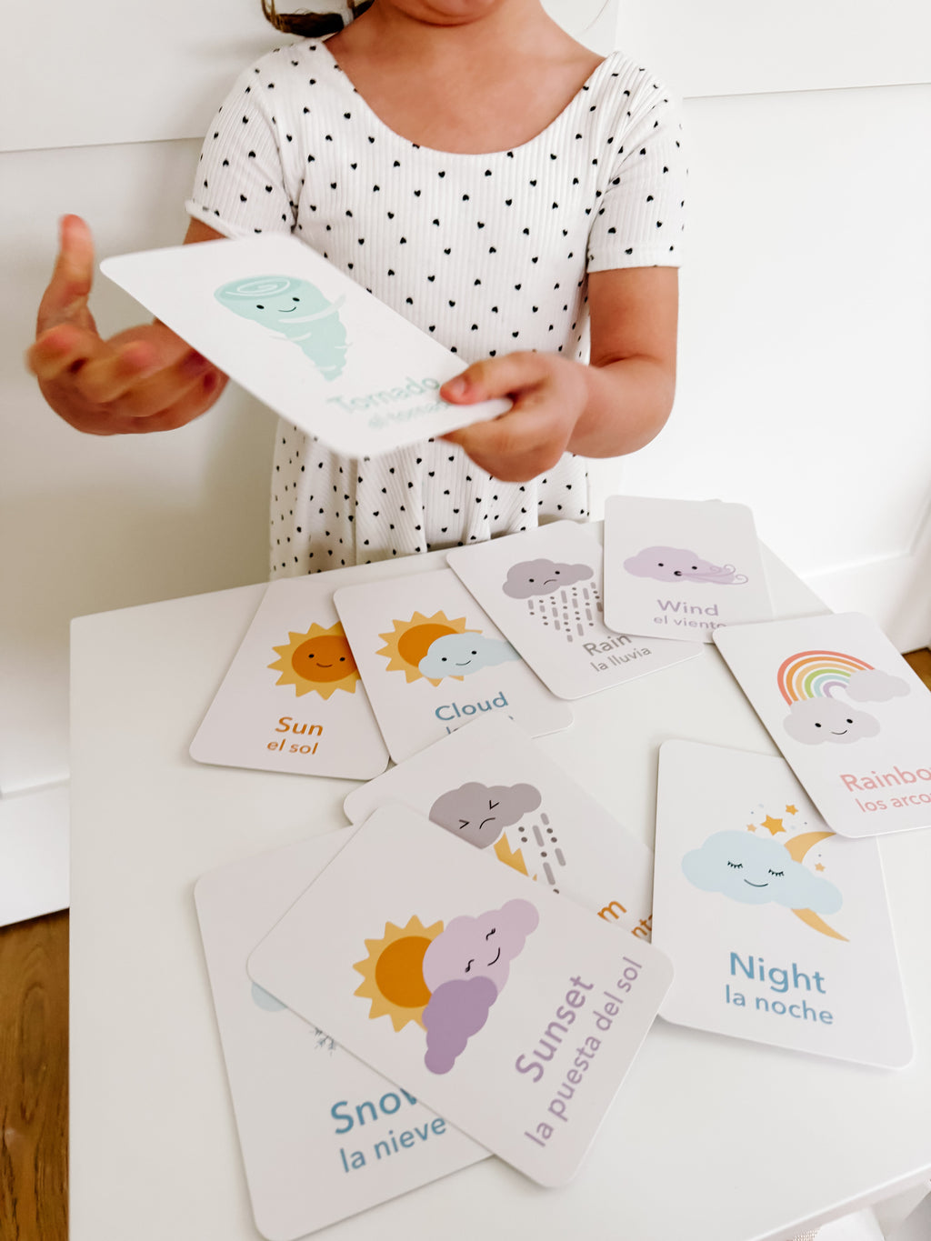 weather-flashcards-Gift-Baby-Toys-21