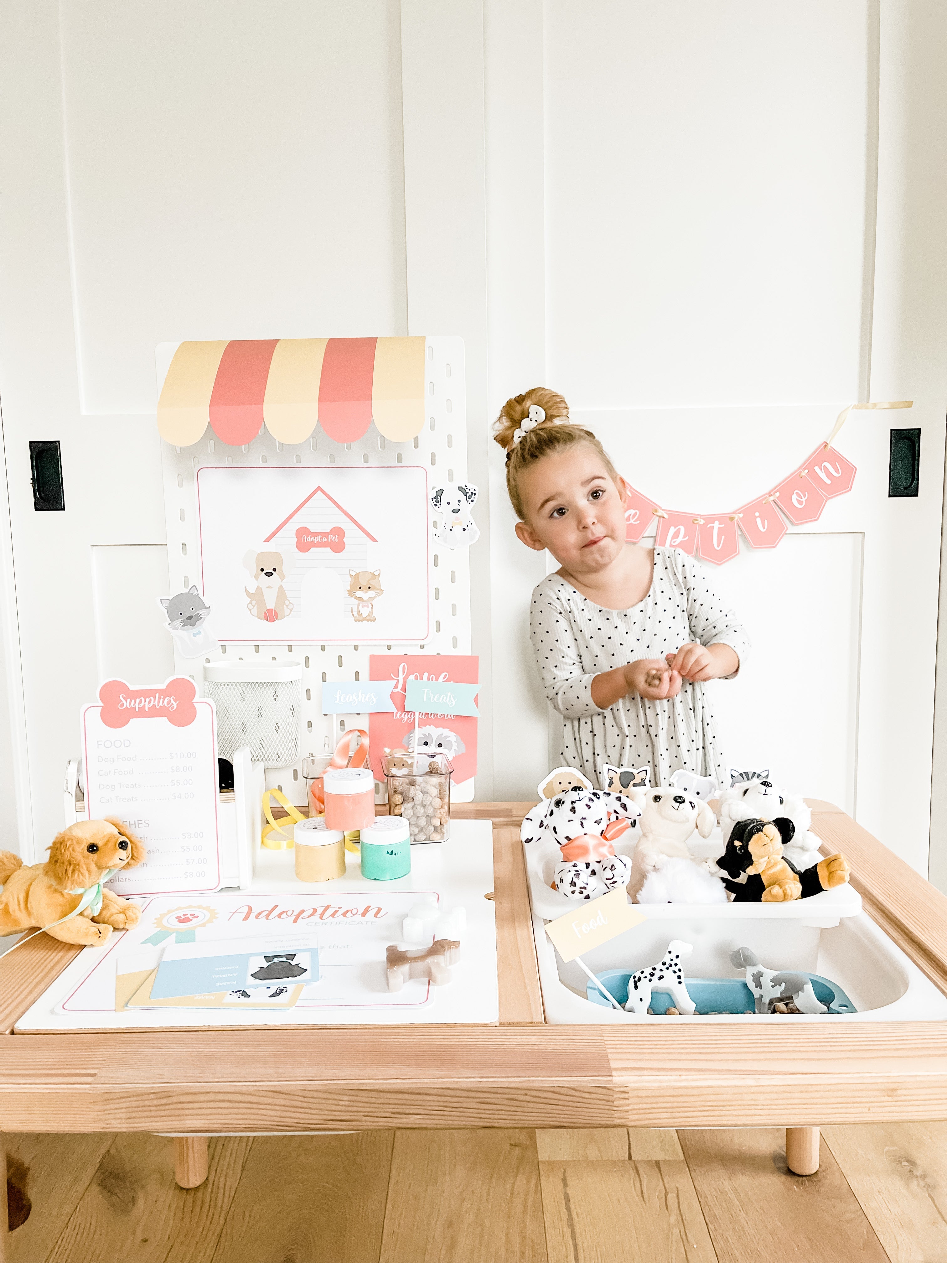 pet-adoption-clinic-dramatic-play-Gift-Baby-Toys-8