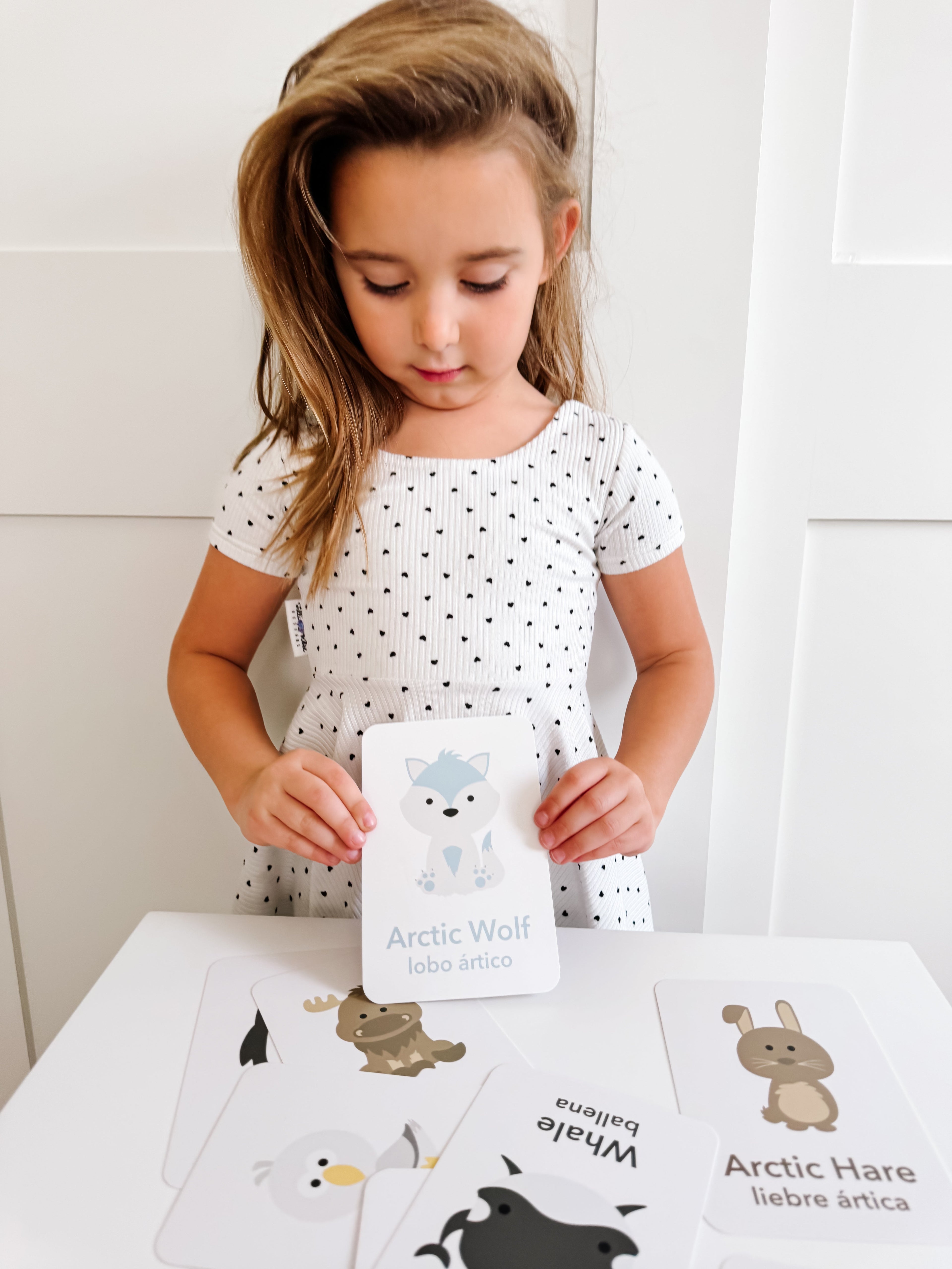 arctic-animals-flashcards-Gift-Baby-Toys-22