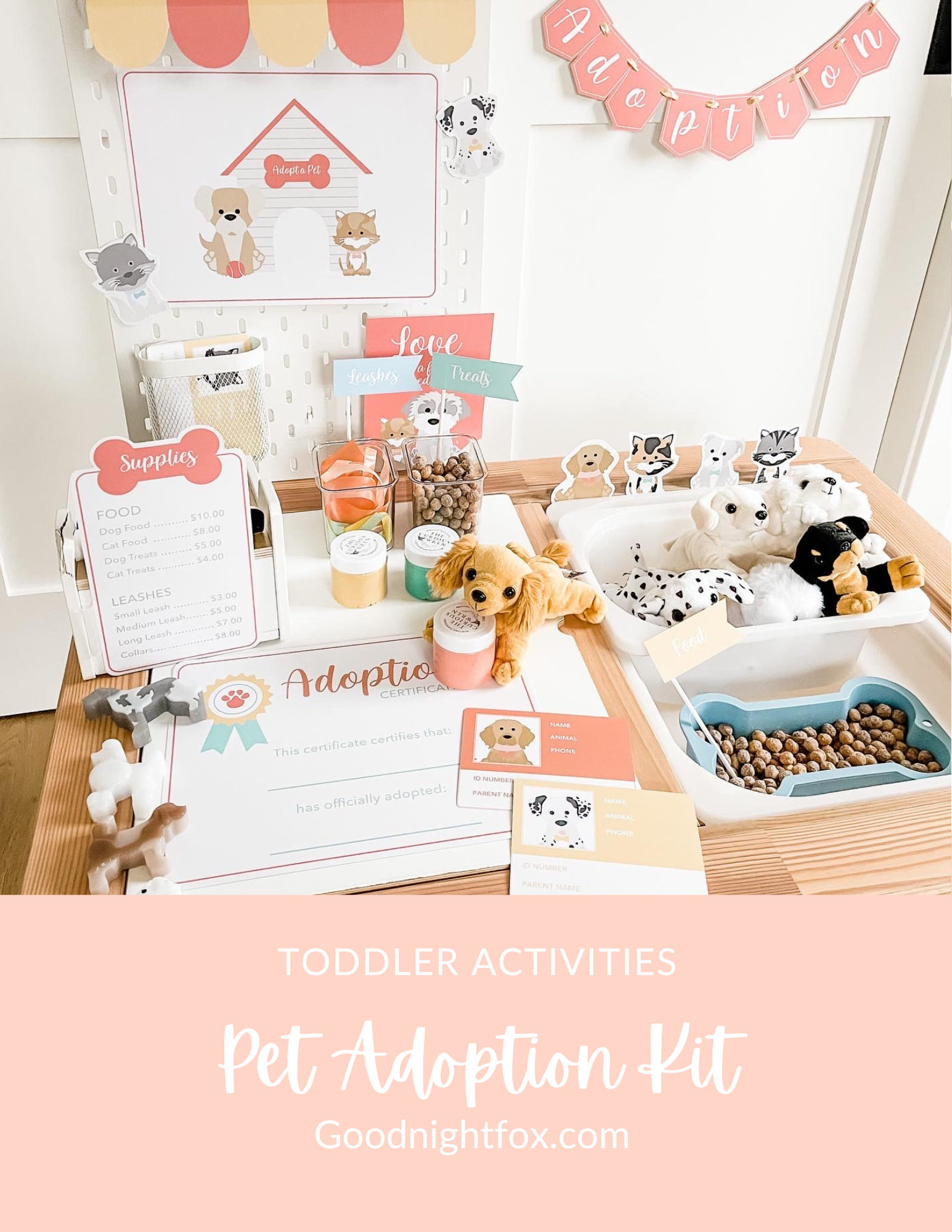 pet-adoption-clinic-dramatic-play-Gift-Baby-Toys-10