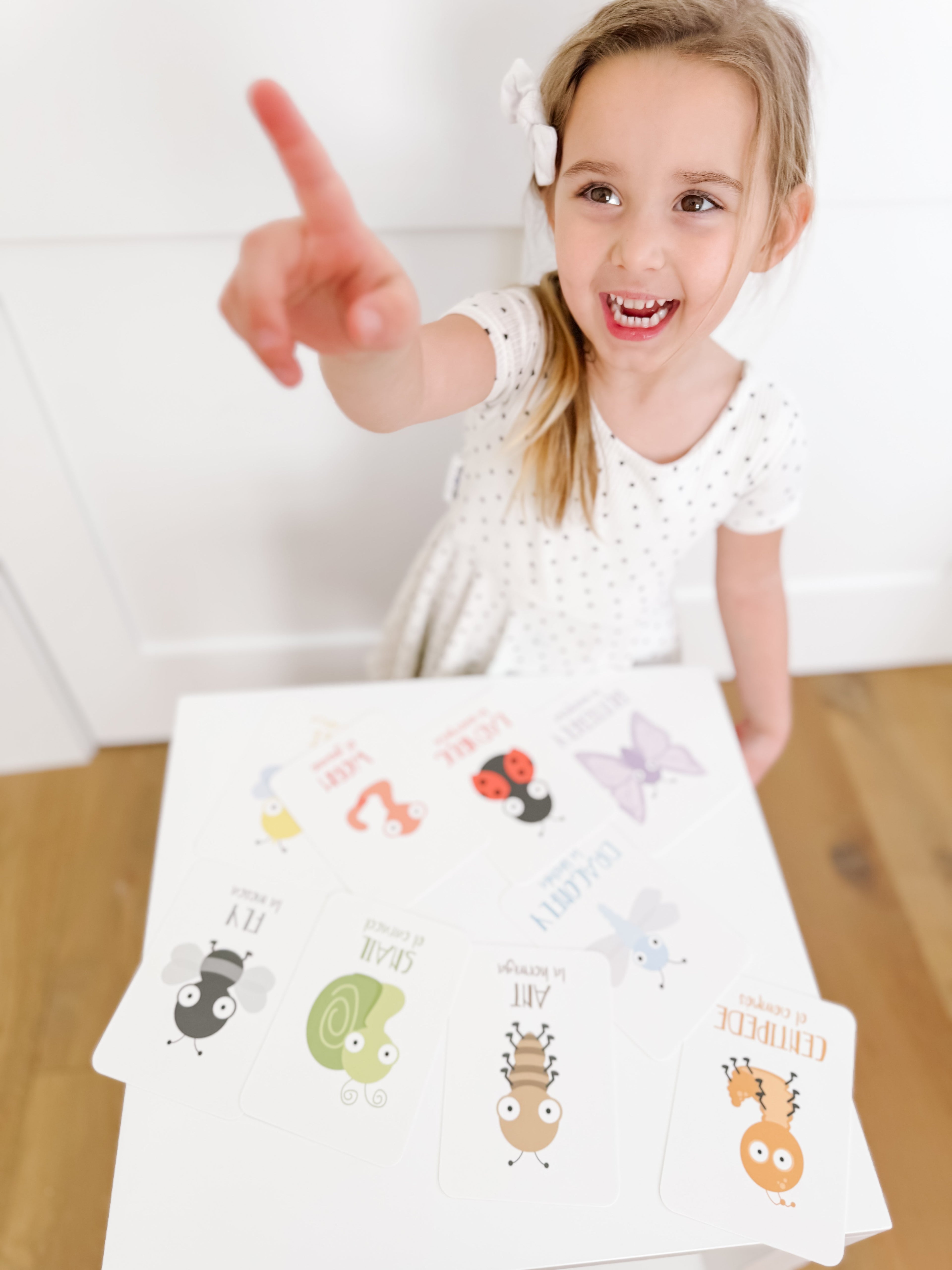bugs-flashcards-Gift-Baby-Toys-26