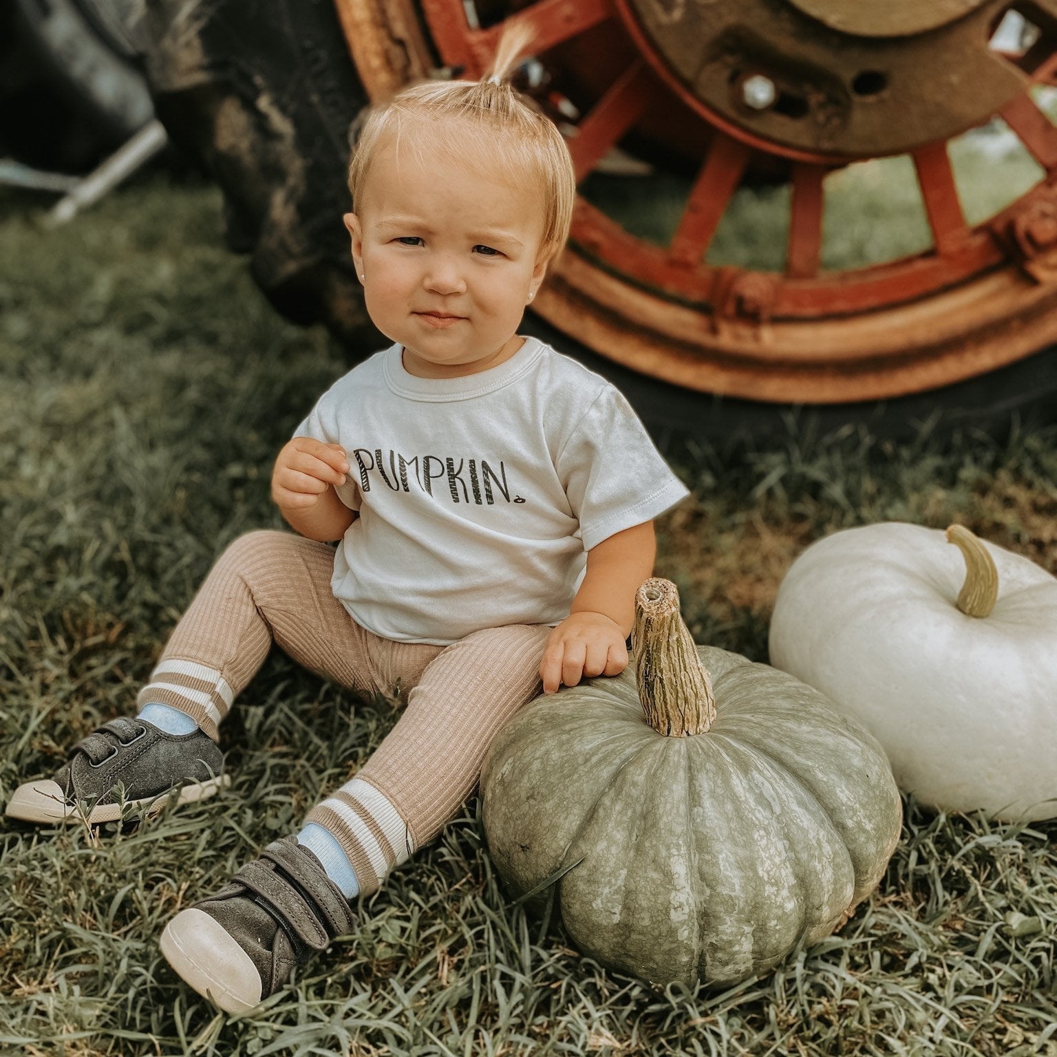 graphic-tee-pumpkin-Gift-Baby-Toys-2