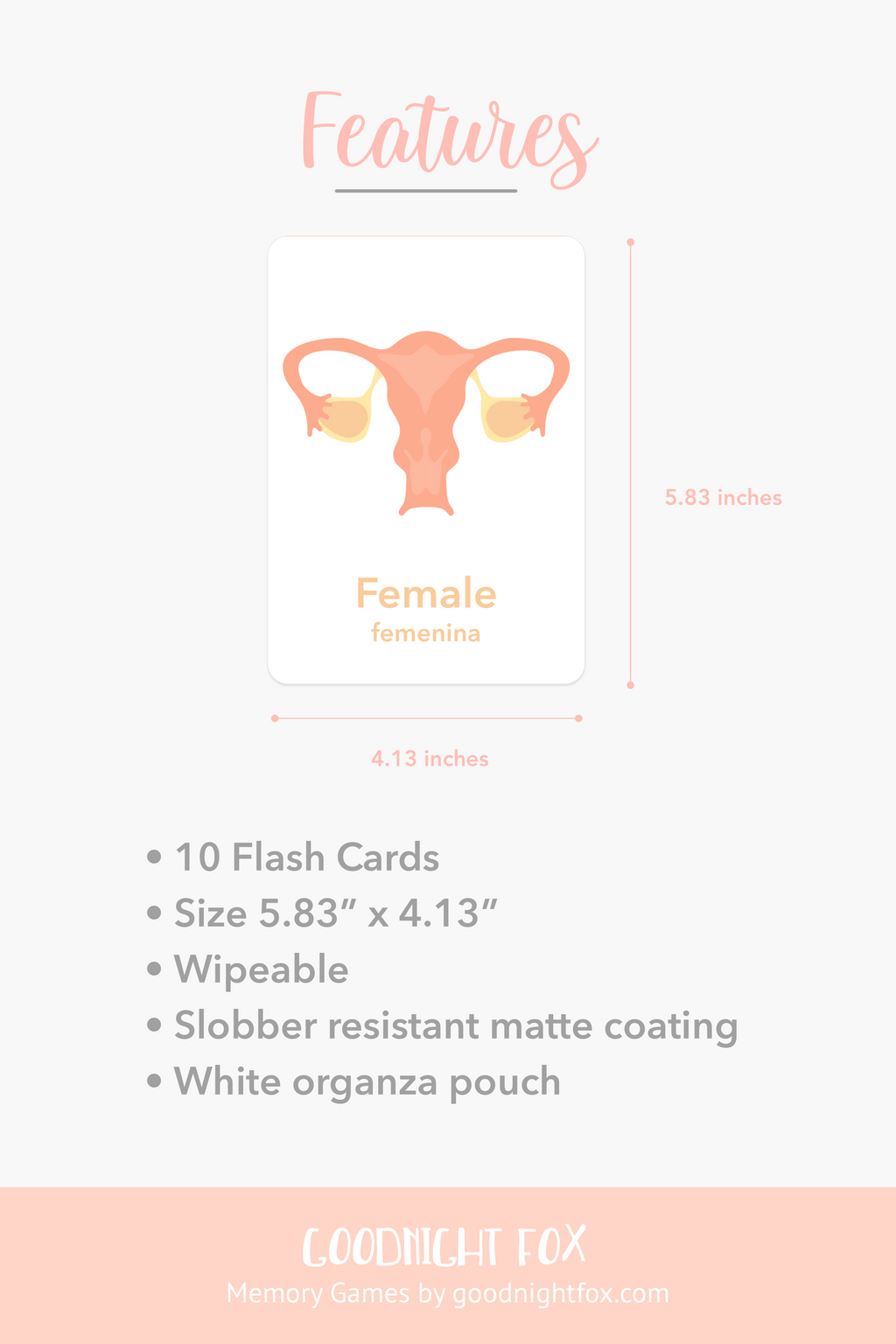 organs-flashcards-Gift-Baby-Toys-3