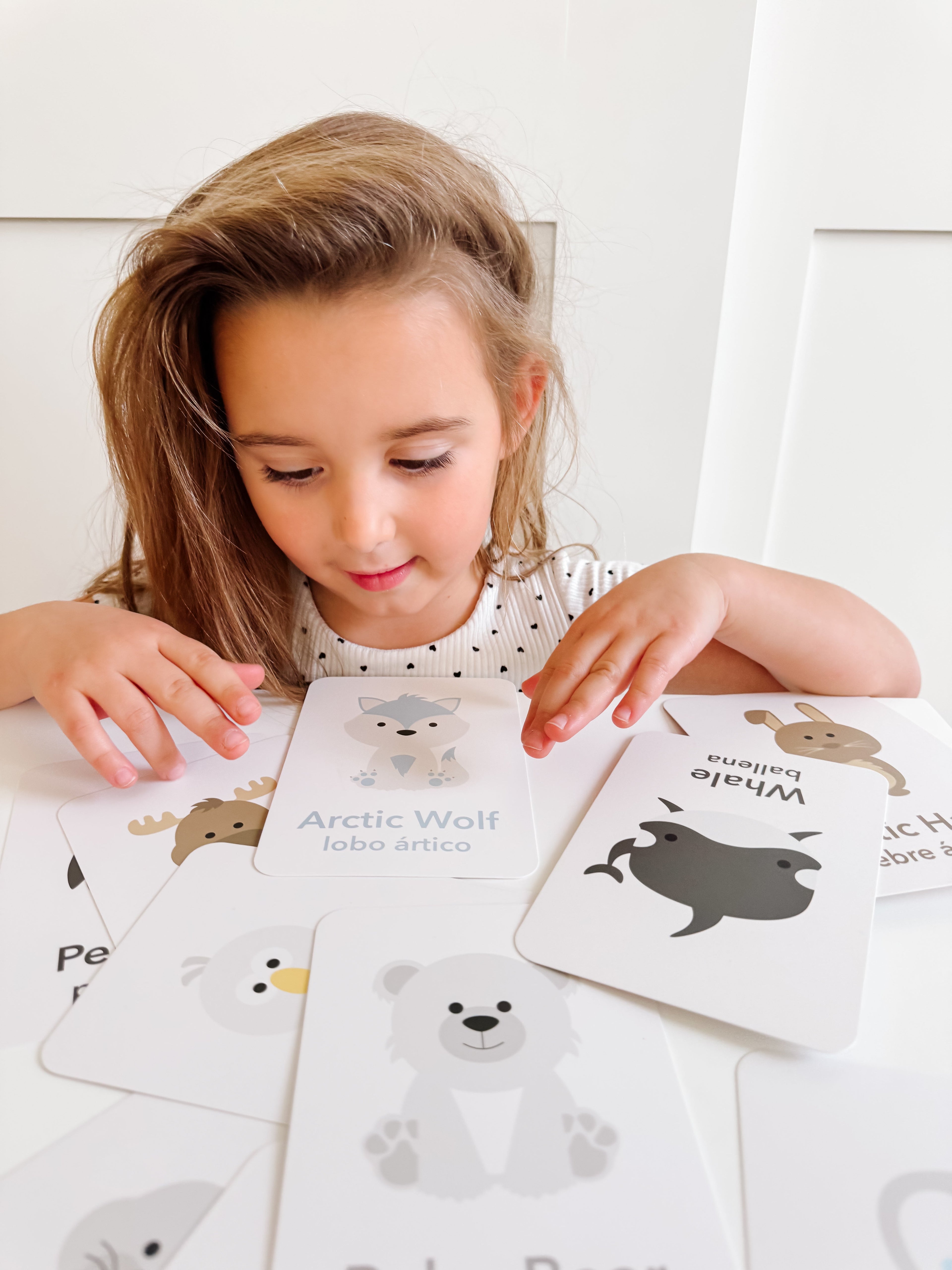 arctic-animals-flashcards-Gift-Baby-Toys-18