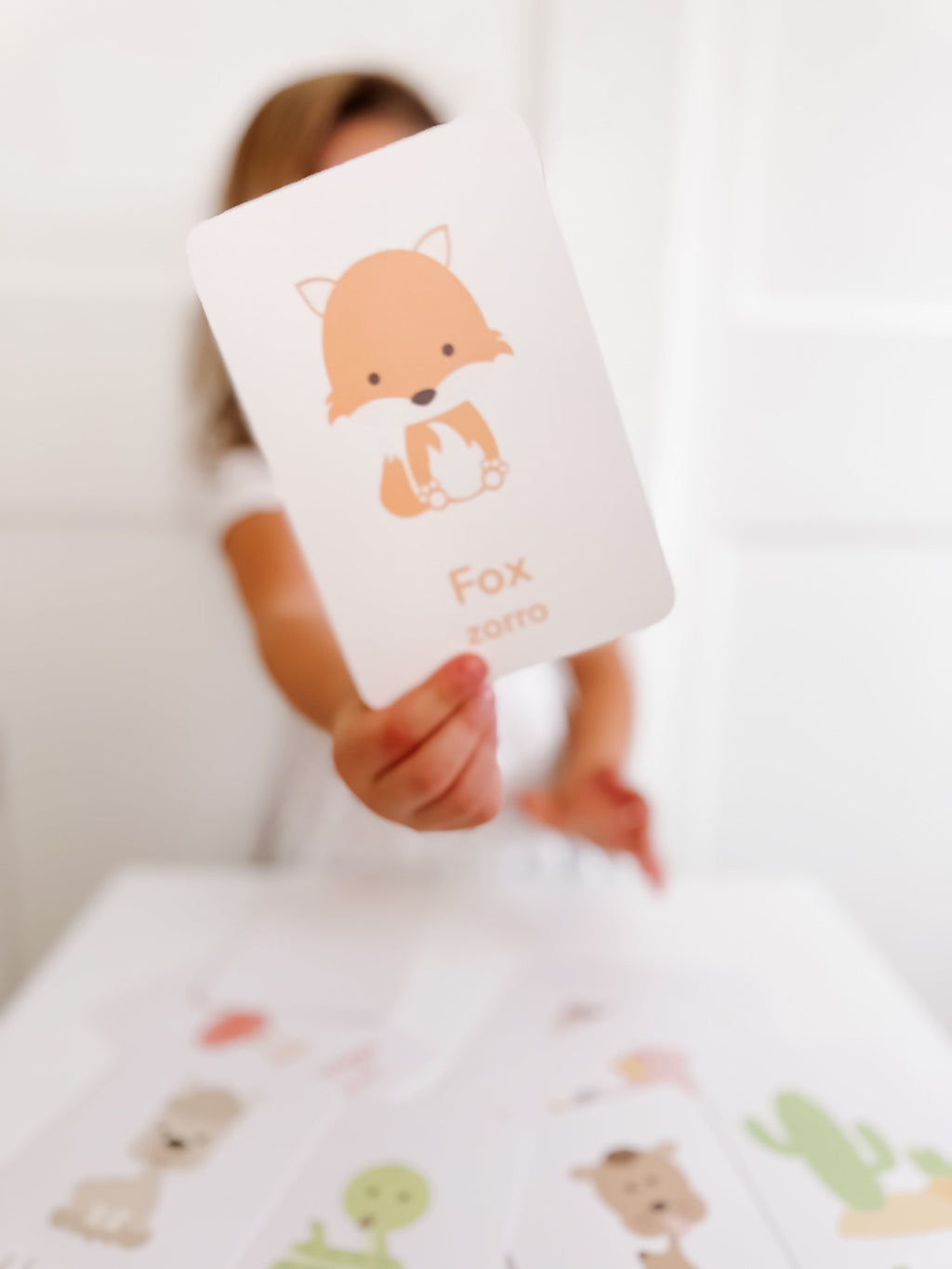 desert-animal-flashcards-Gift-Baby-Toys-6