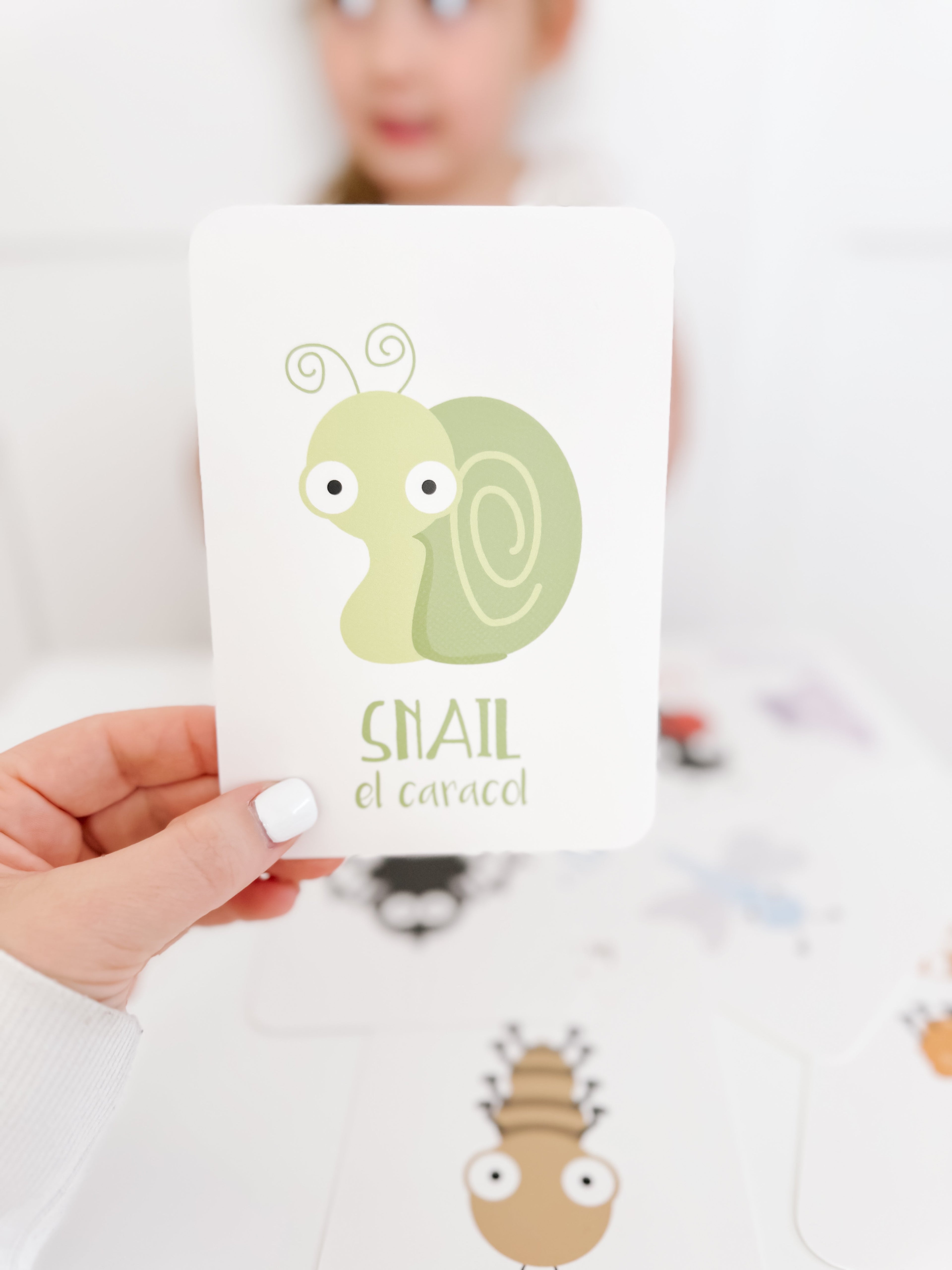 bugs-flashcards-Gift-Baby-Toys-12