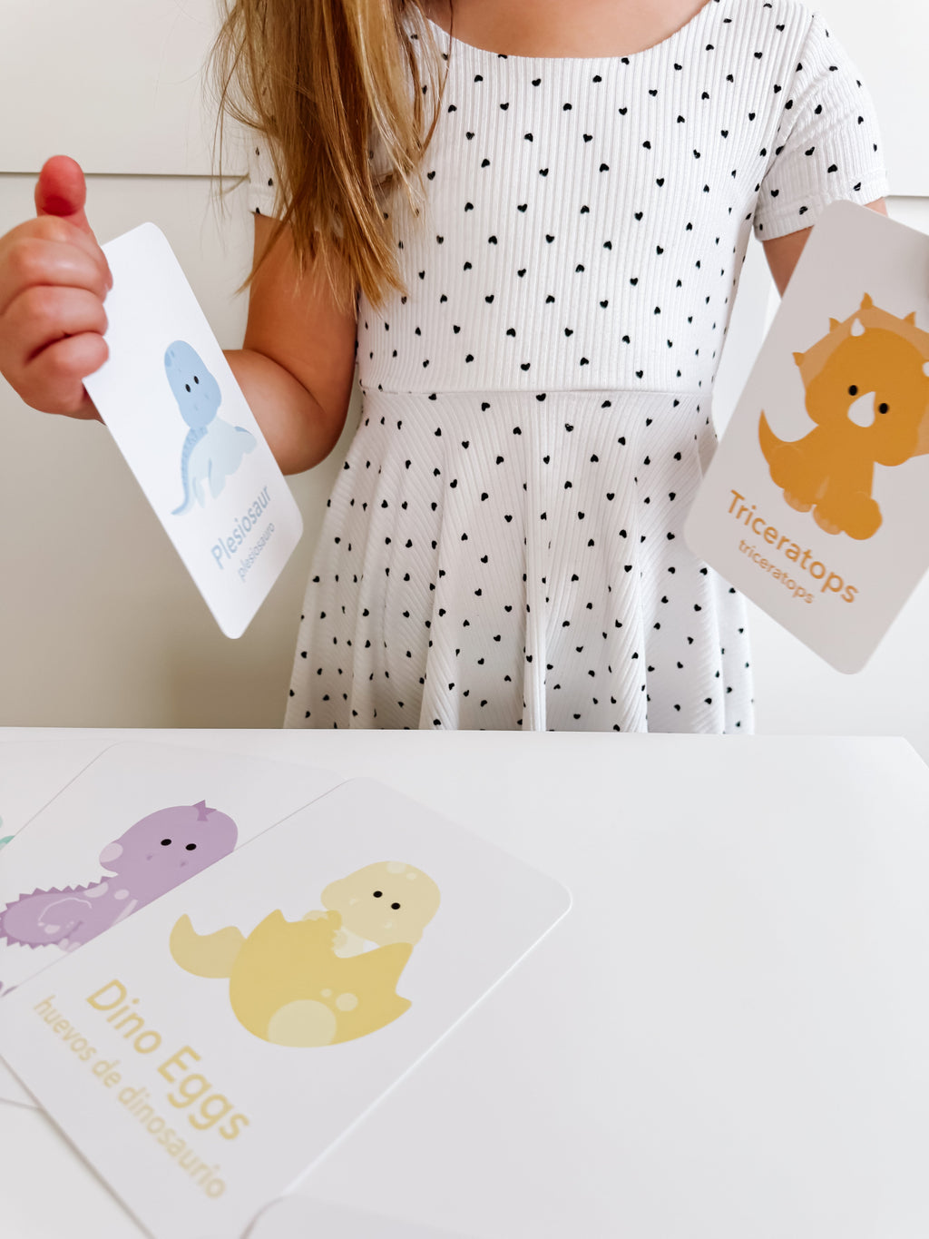 dinosaur-flashcards-Gift-Baby-Toys-12