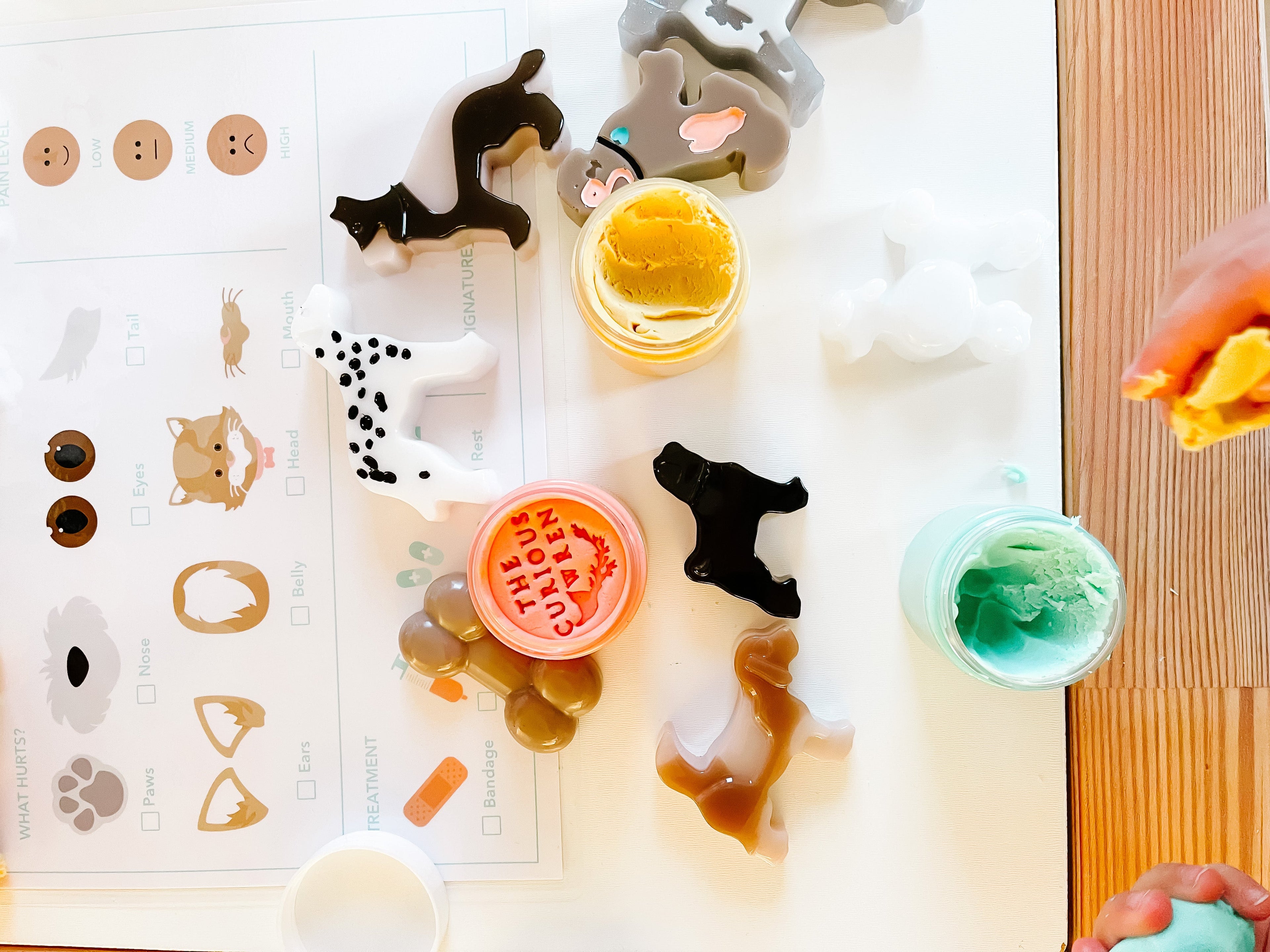 vet-clinic-dramatic-play-Gift-Baby-Toys-27