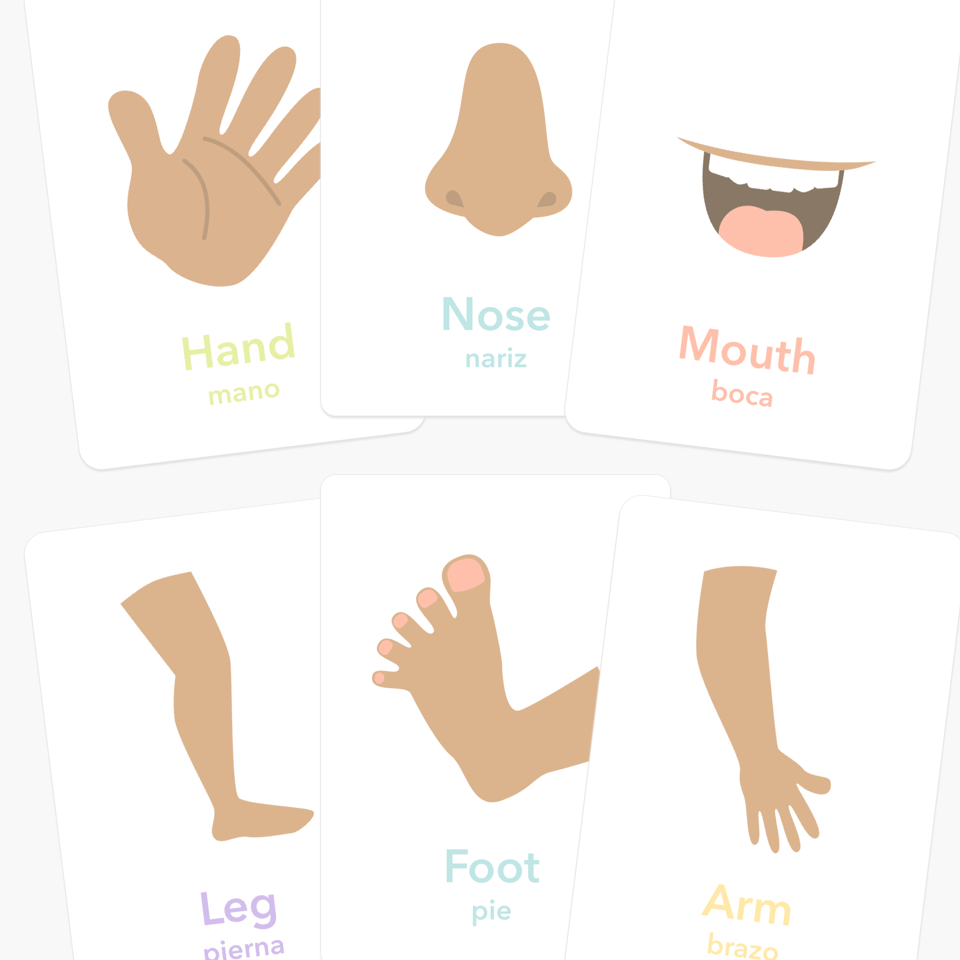 body-parts-flashcards-Gift-Baby-Toys-1