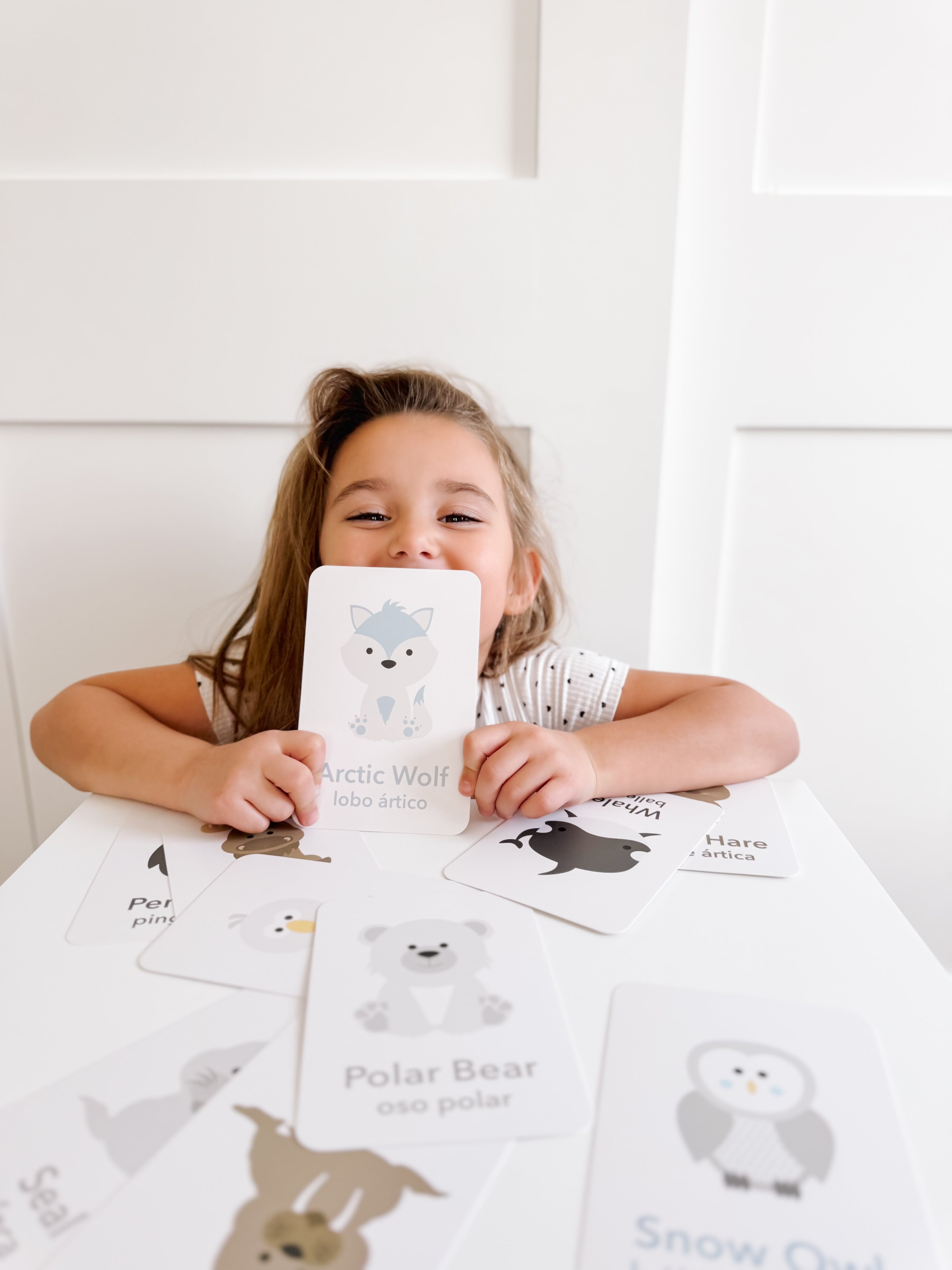 arctic-animals-flashcards-Gift-Baby-Toys-15