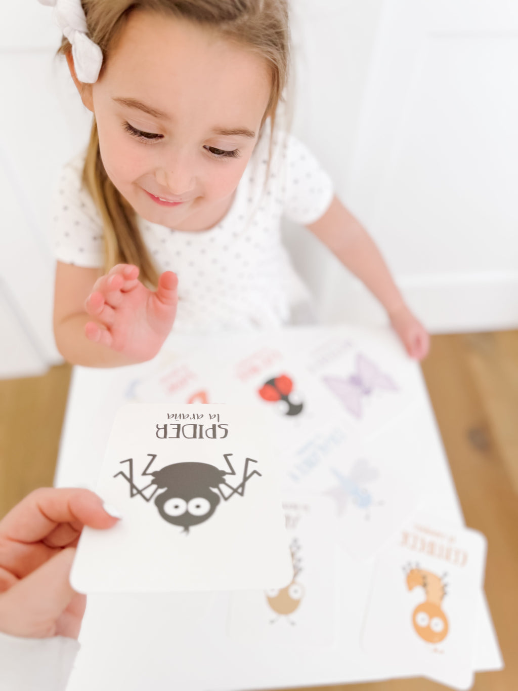 bugs-flashcards-Gift-Baby-Toys-22