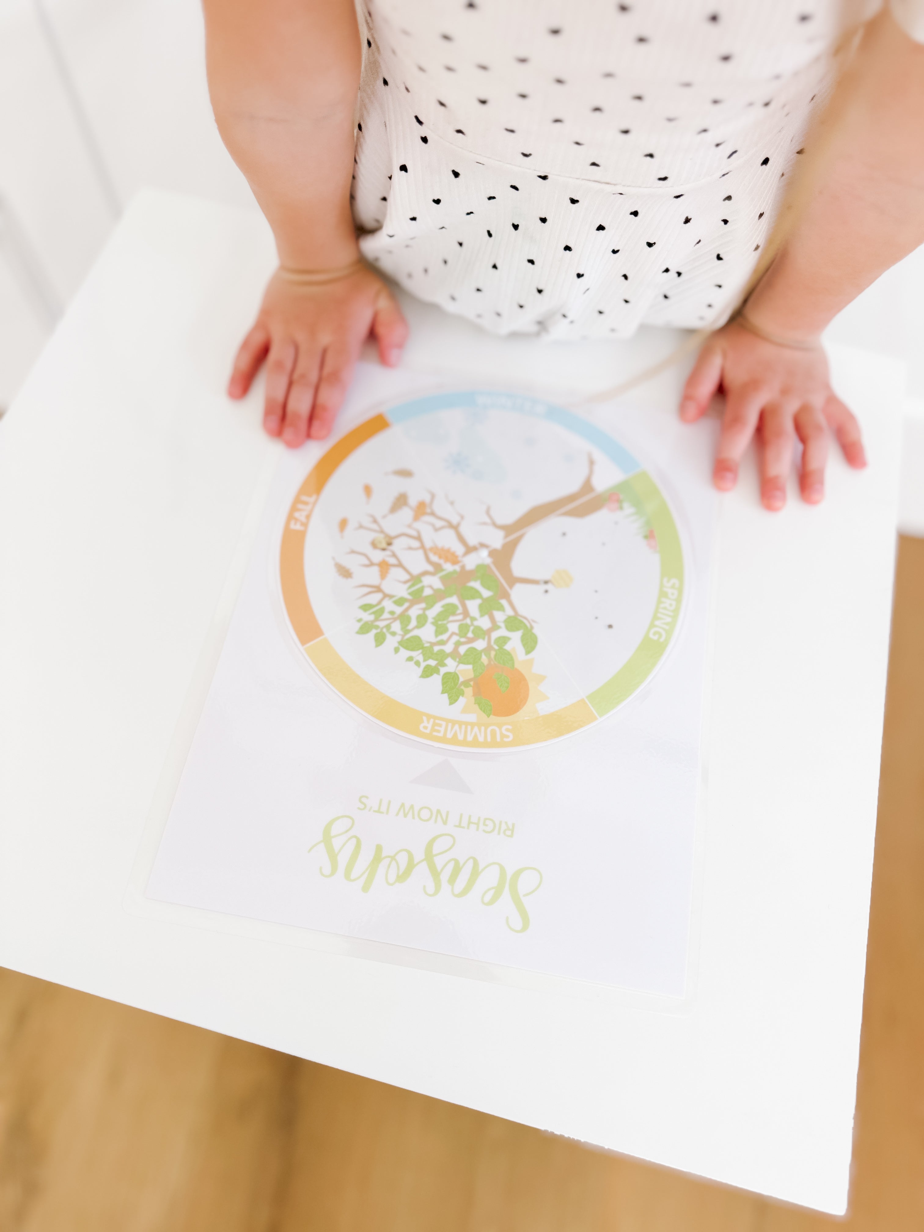 learning-wheel-spinner-printable-dramatic-play-Gift-Baby-Toys-20
