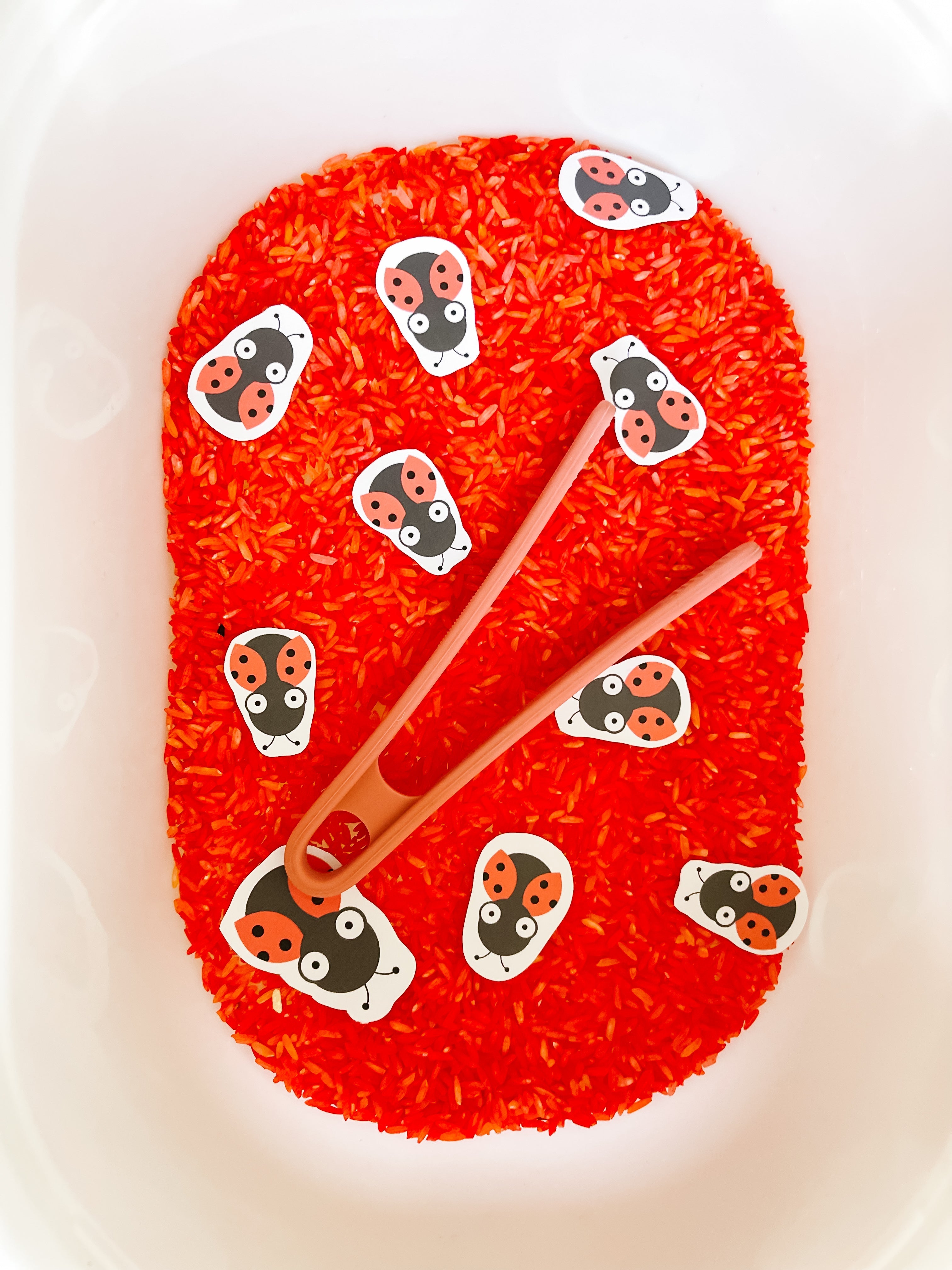 bugs-printable-dramatic-play-Gift-Baby-Toys-35