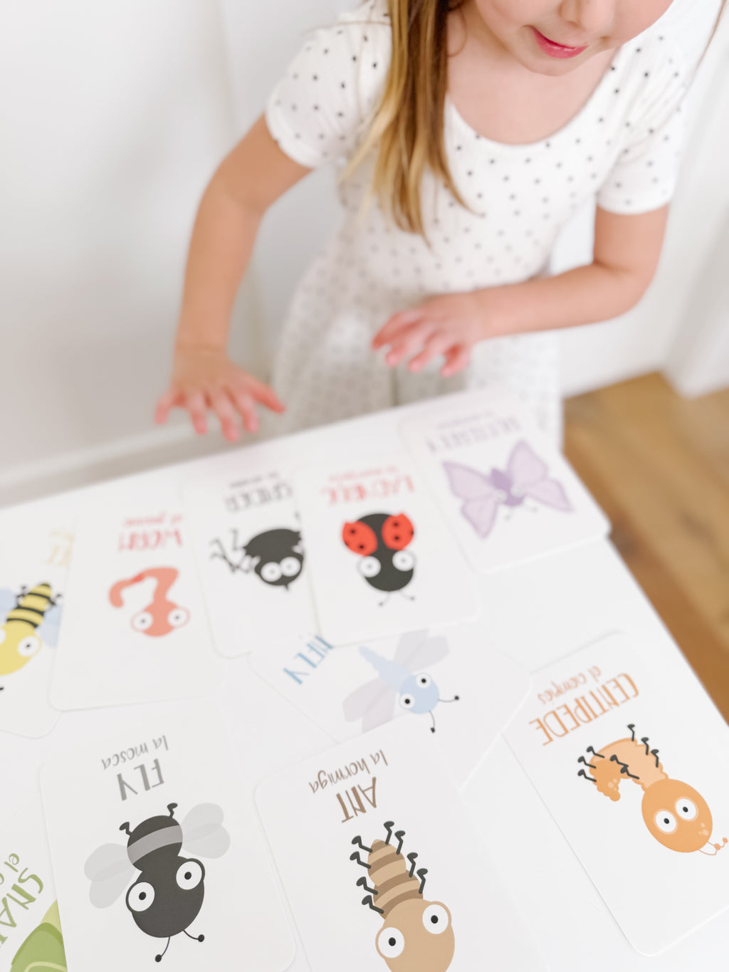 bugs-flashcards-Gift-Baby-Toys-33