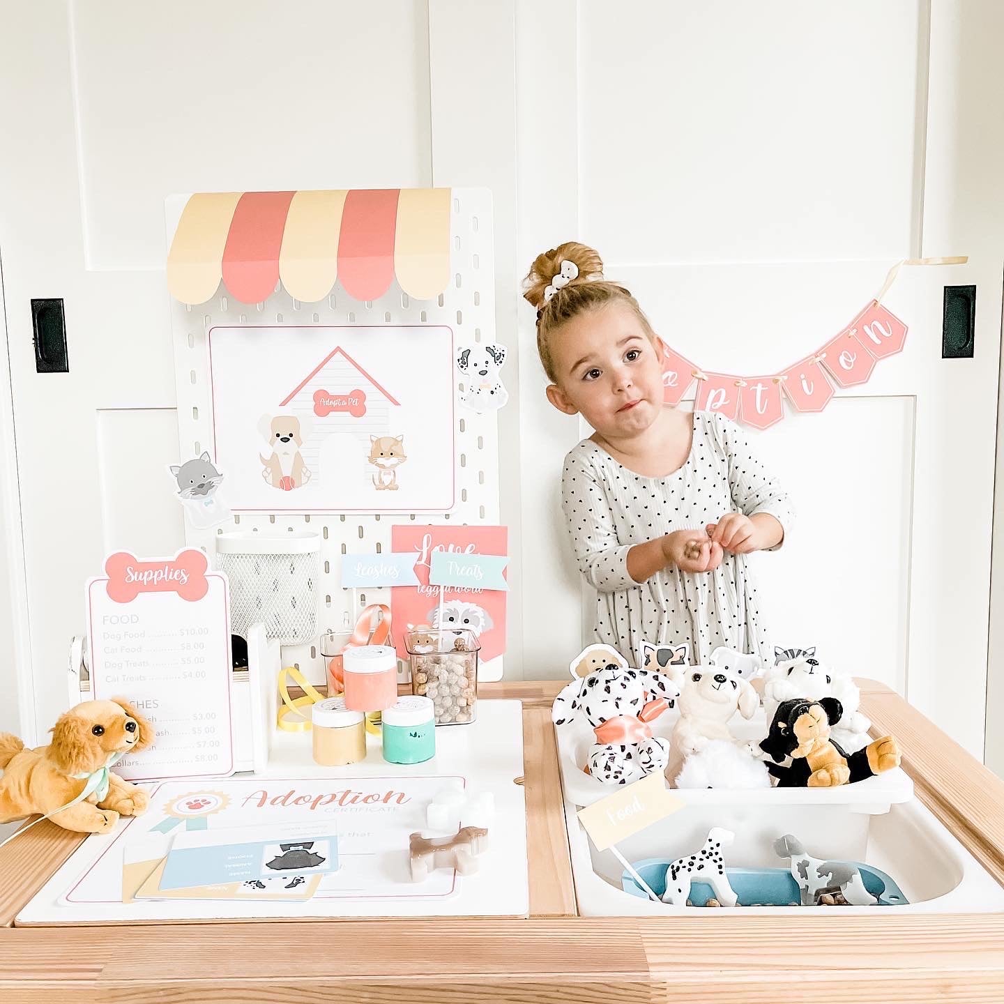 pet-adoption-clinic-dramatic-play-Gift-Baby-Toys-5