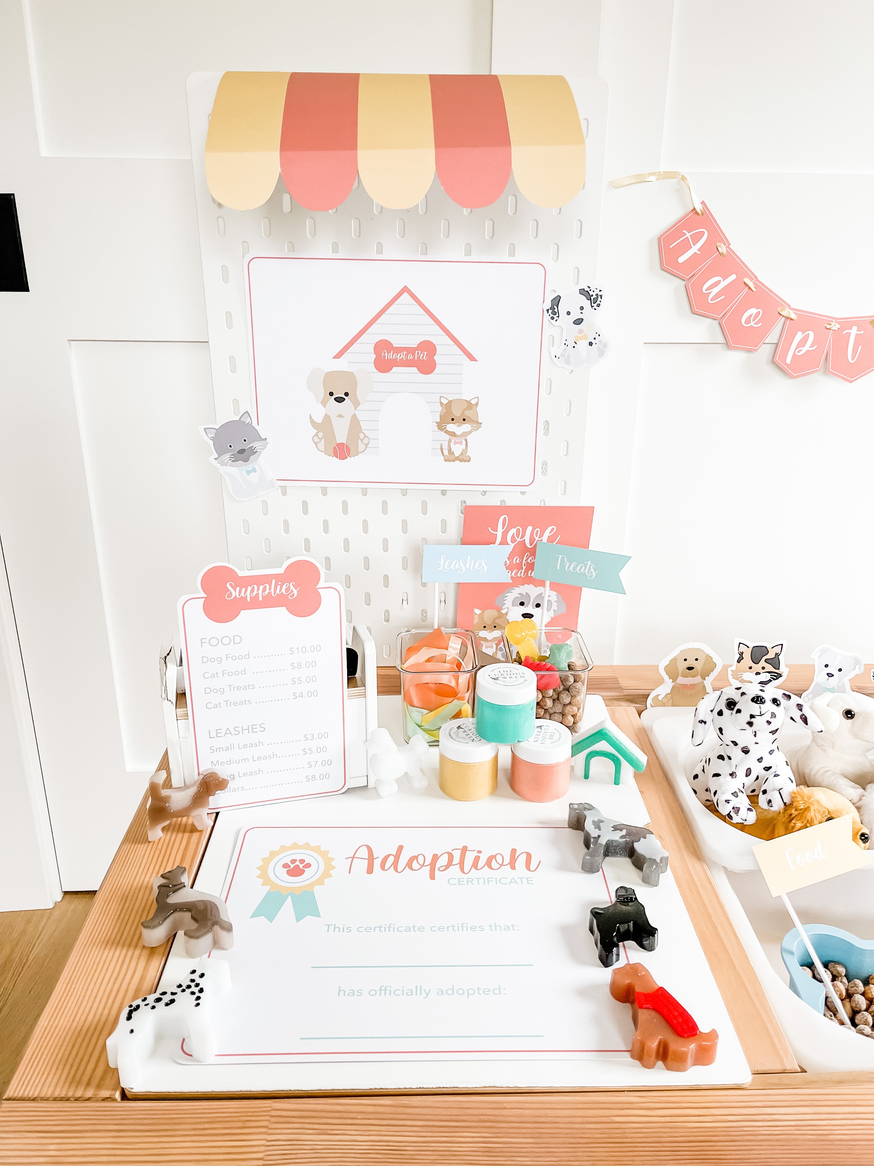 pet-adoption-clinic-dramatic-play-Gift-Baby-Toys-11