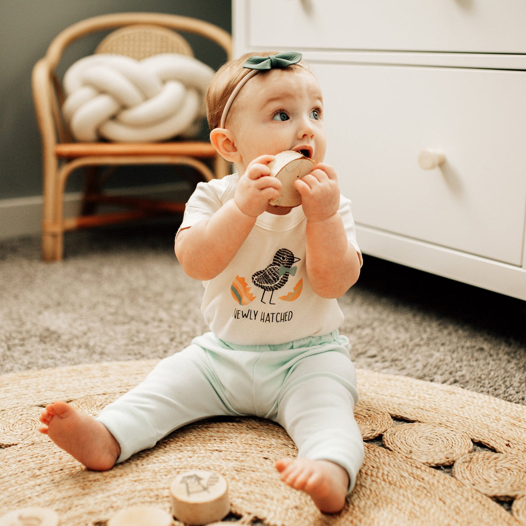 graphic-bodysuit-newly-hatched-Gift-Baby-Toys-2