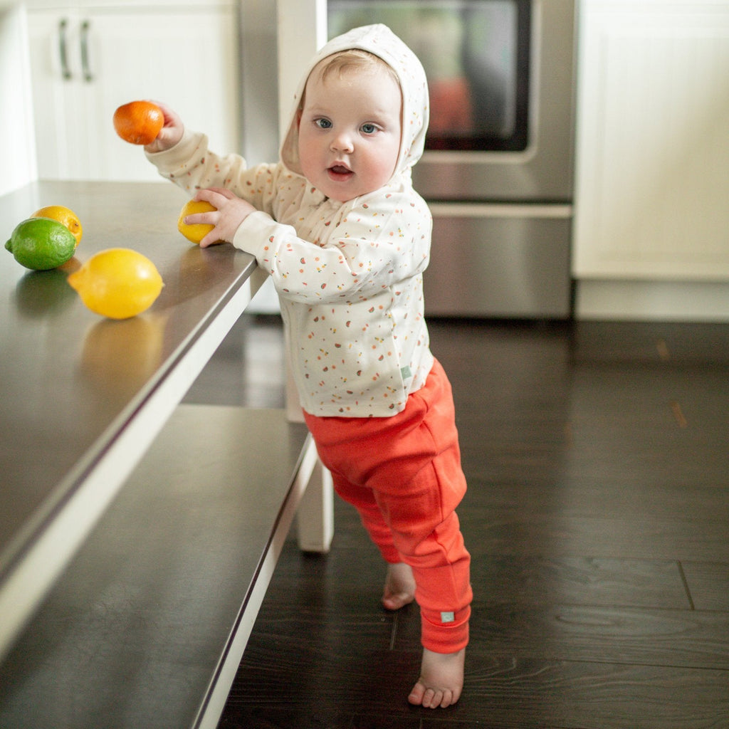 hoodie-tutti-frutti-Gift-Baby-Toys-3
