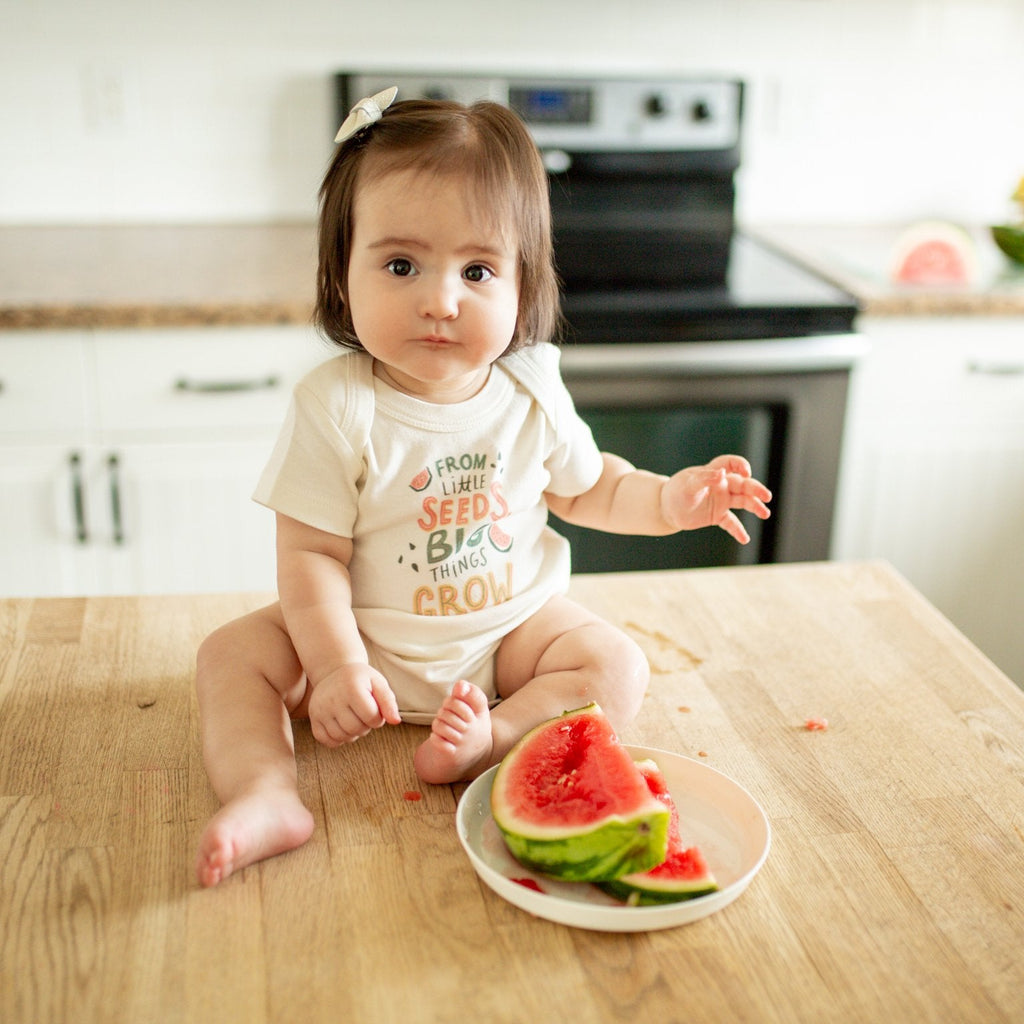 graphic-bodysuit-from-little-seeds-Gift-Baby-Toys-2