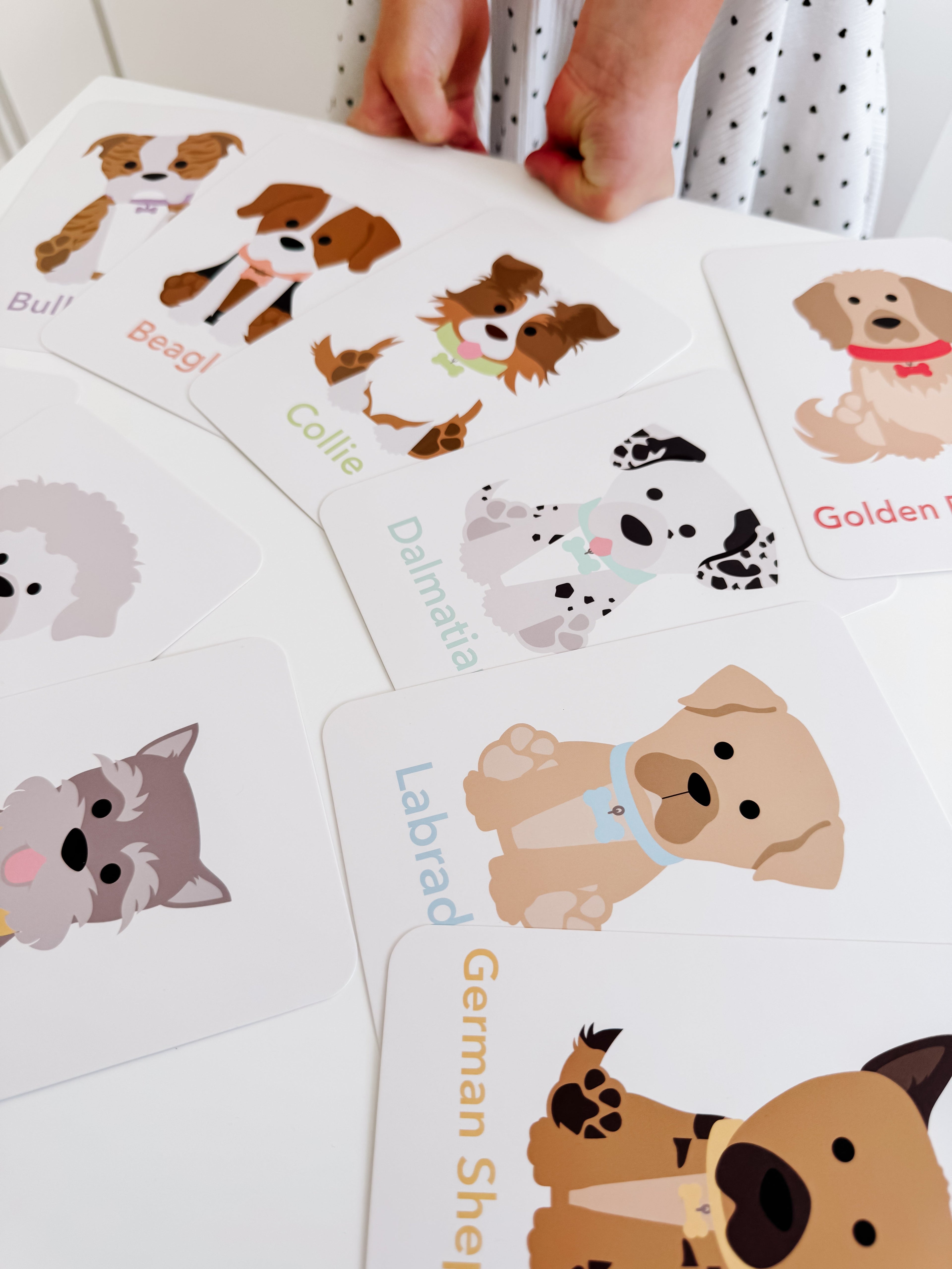 dog-breed-flash-cards-Gift-Baby-Toys-10