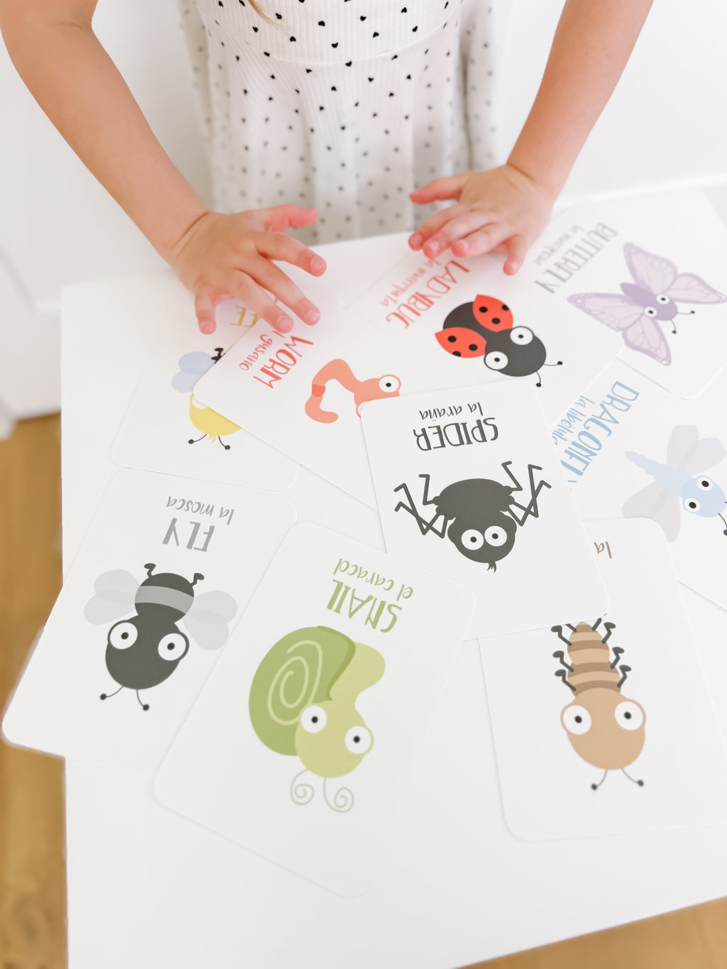 bugs-flashcards-Gift-Baby-Toys-20