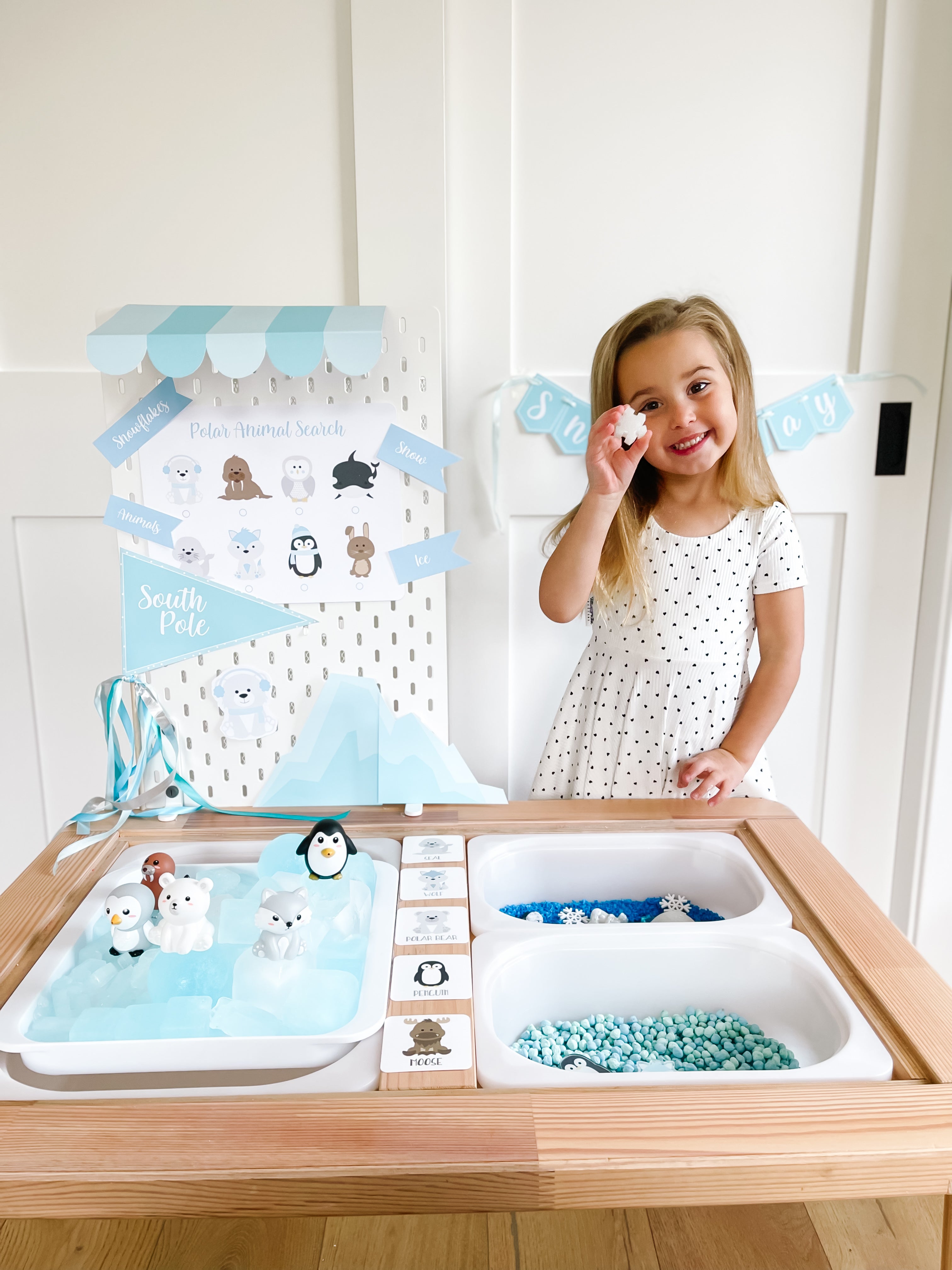 arctic-polar-animals-printable-dramatic-play-Gift-Baby-Toys-45