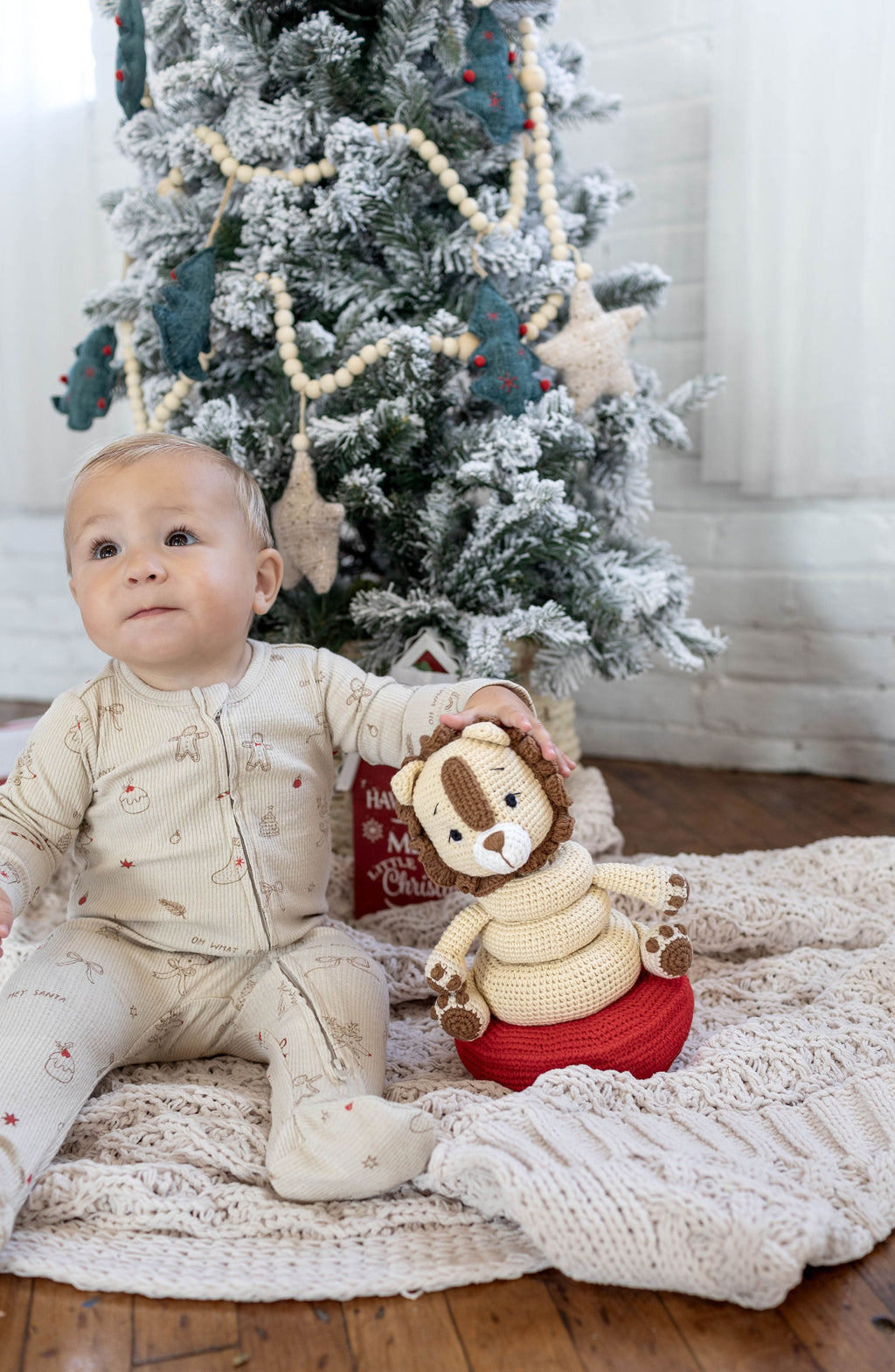 lion-stackable-toy-Gift-Baby-Toys-6