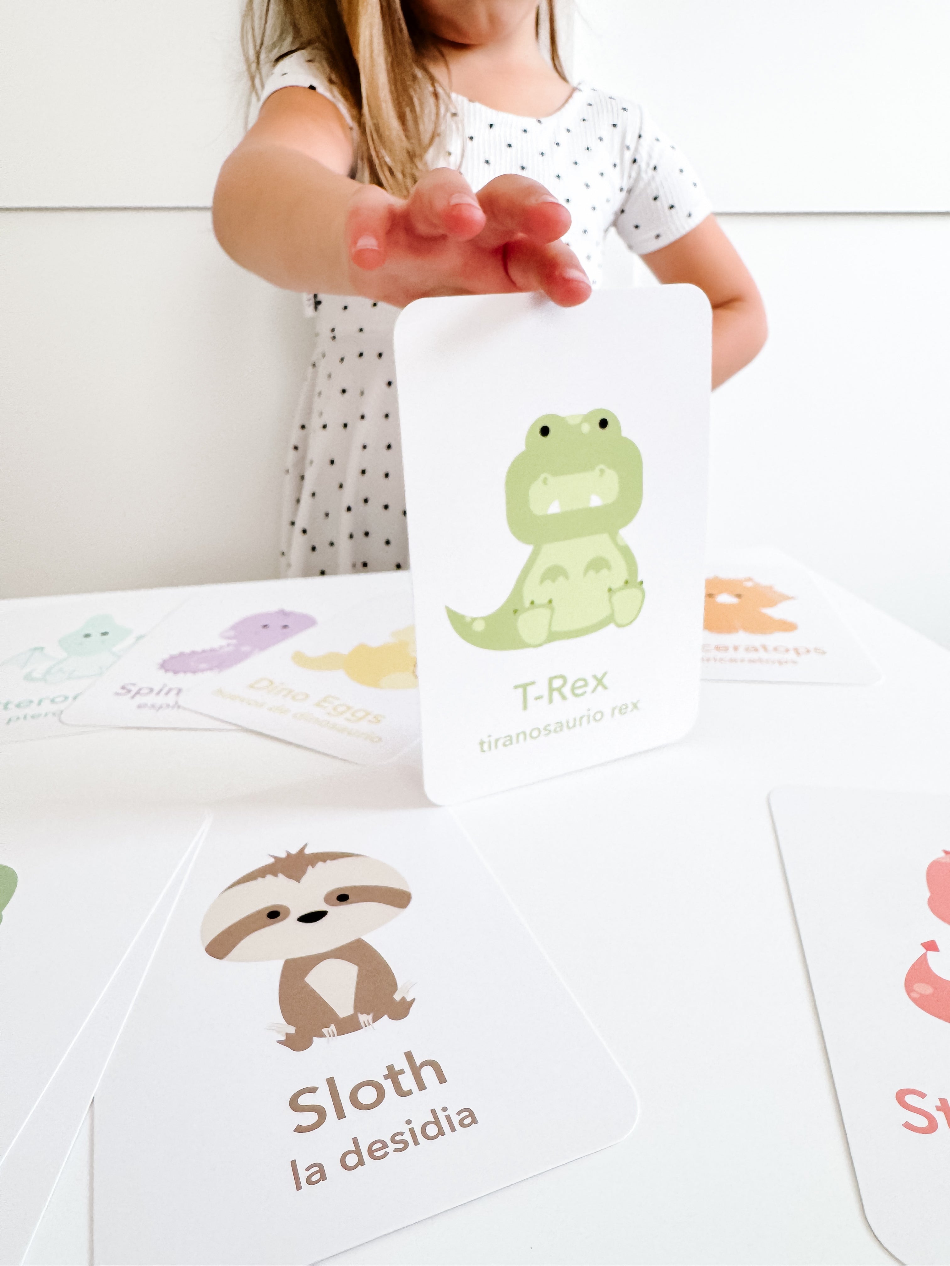 dinosaur-flashcards-Gift-Baby-Toys-9