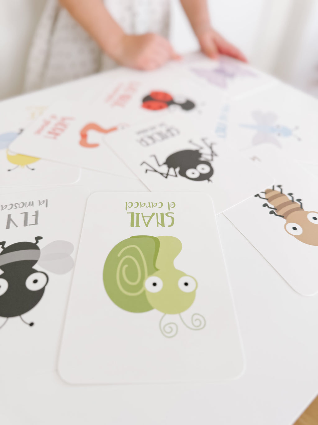 bugs-flashcards-Gift-Baby-Toys-18