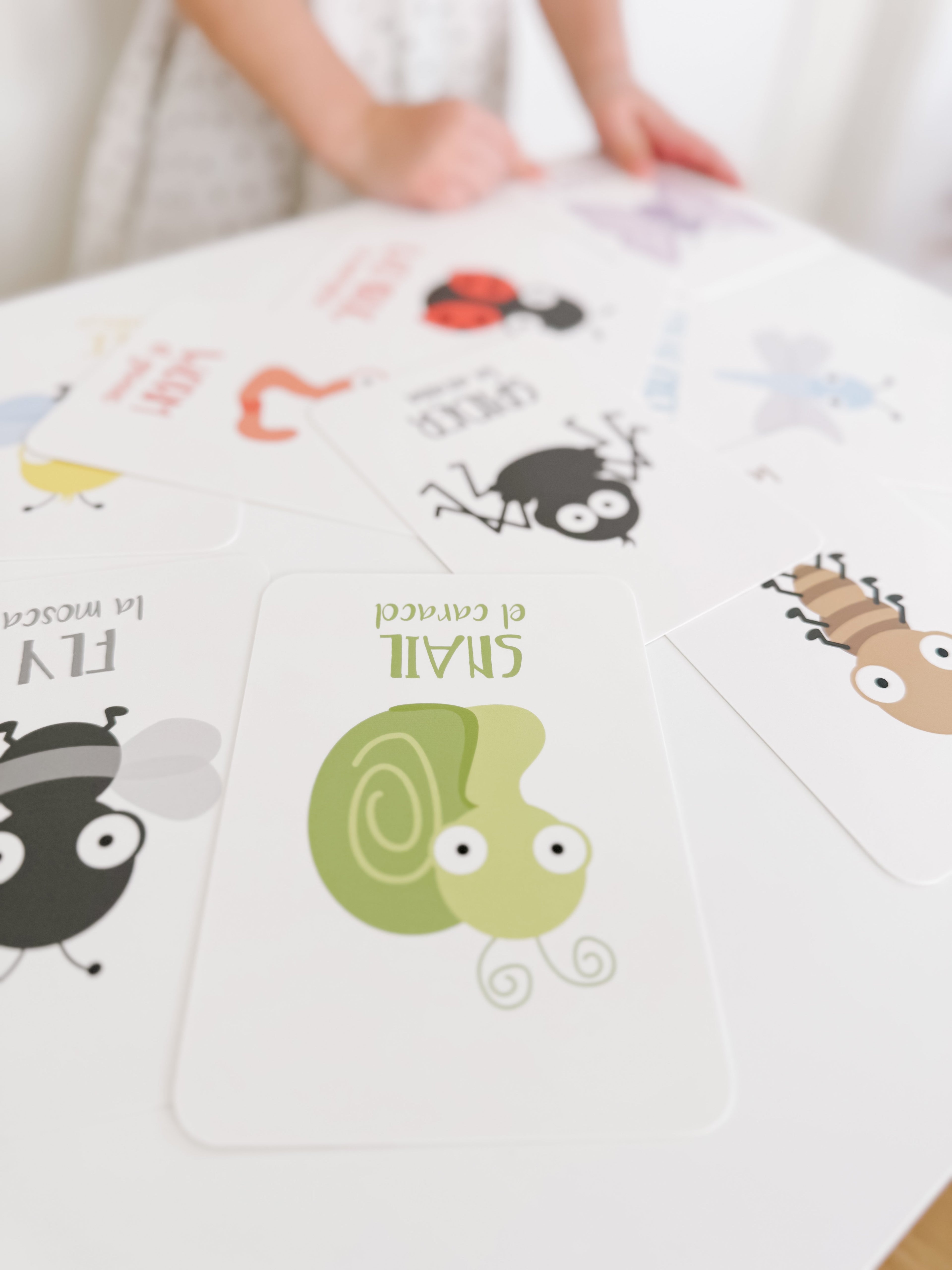 bugs-flashcards-Gift-Baby-Toys-18