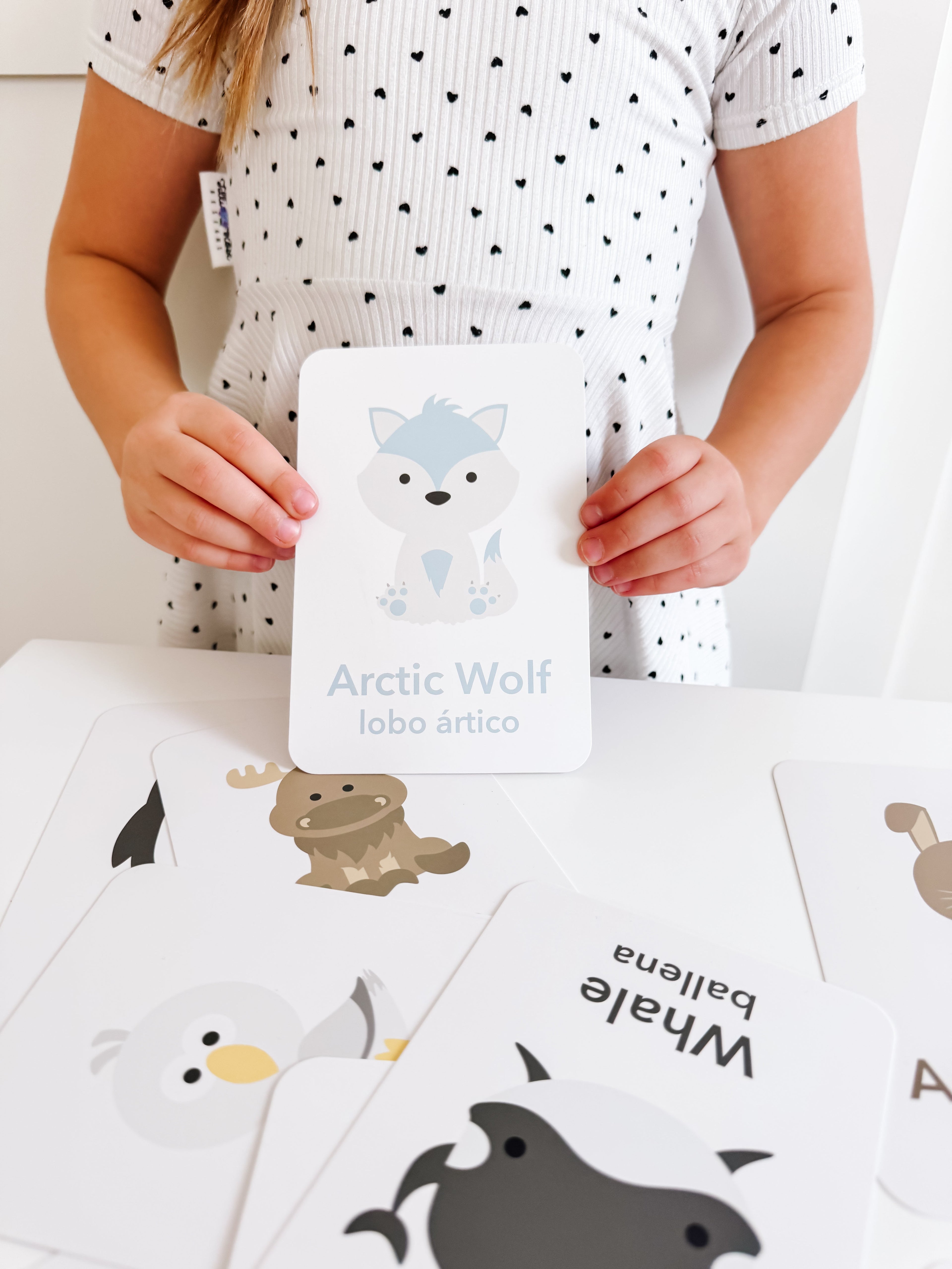 arctic-animals-flashcards-Gift-Baby-Toys-21