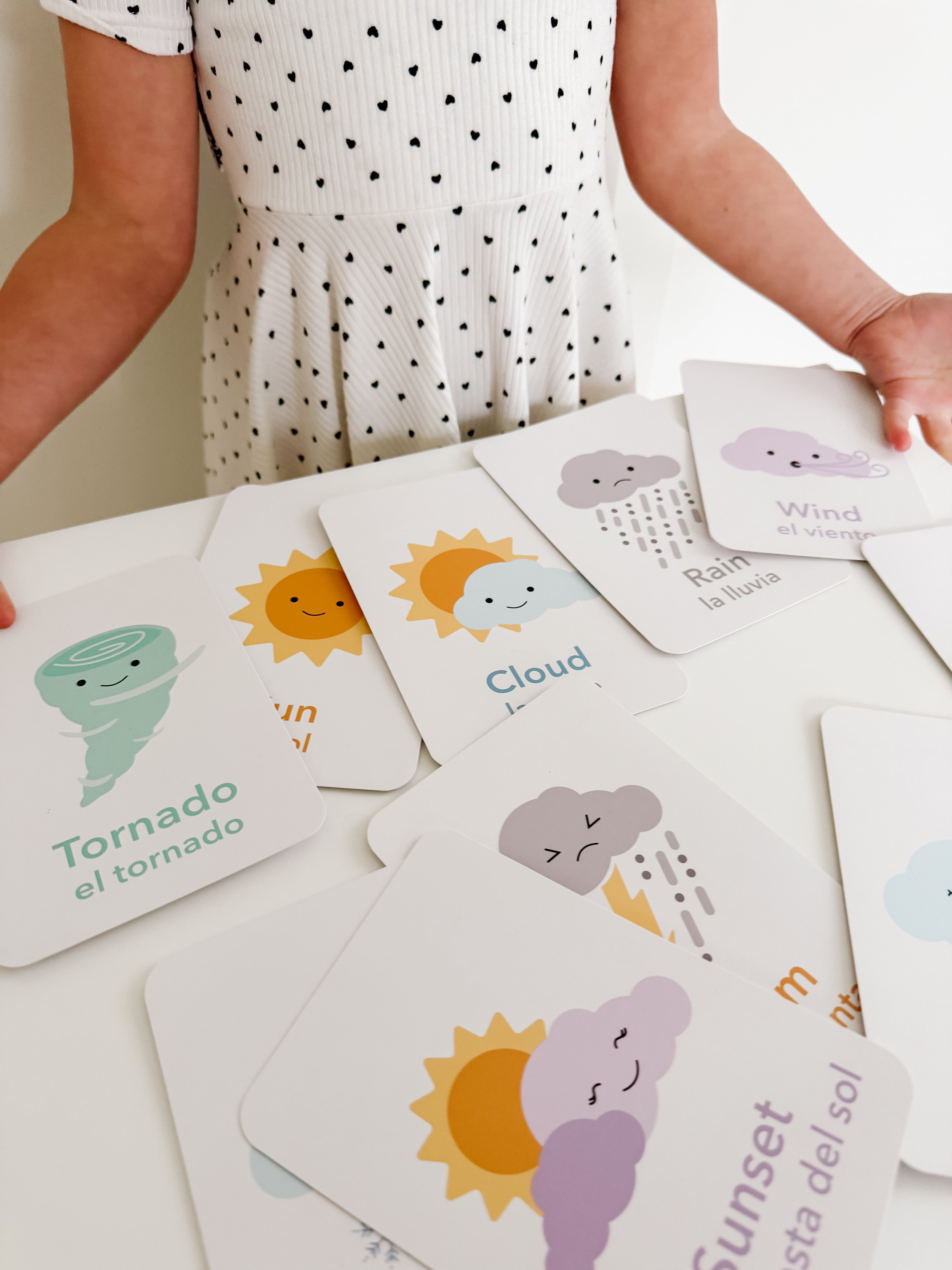 weather-flashcards-Gift-Baby-Toys-20