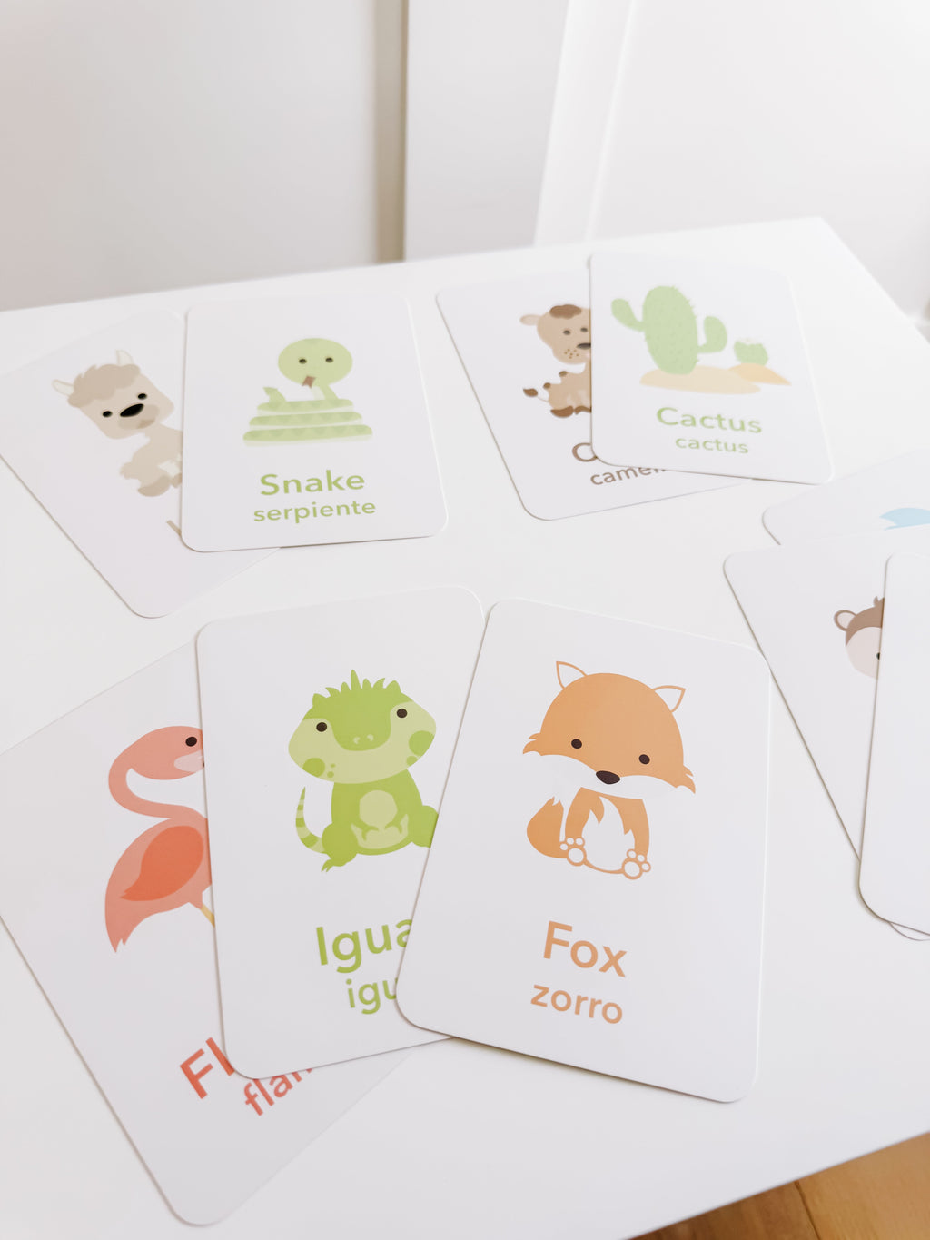 desert-animal-flashcards-Gift-Baby-Toys-15