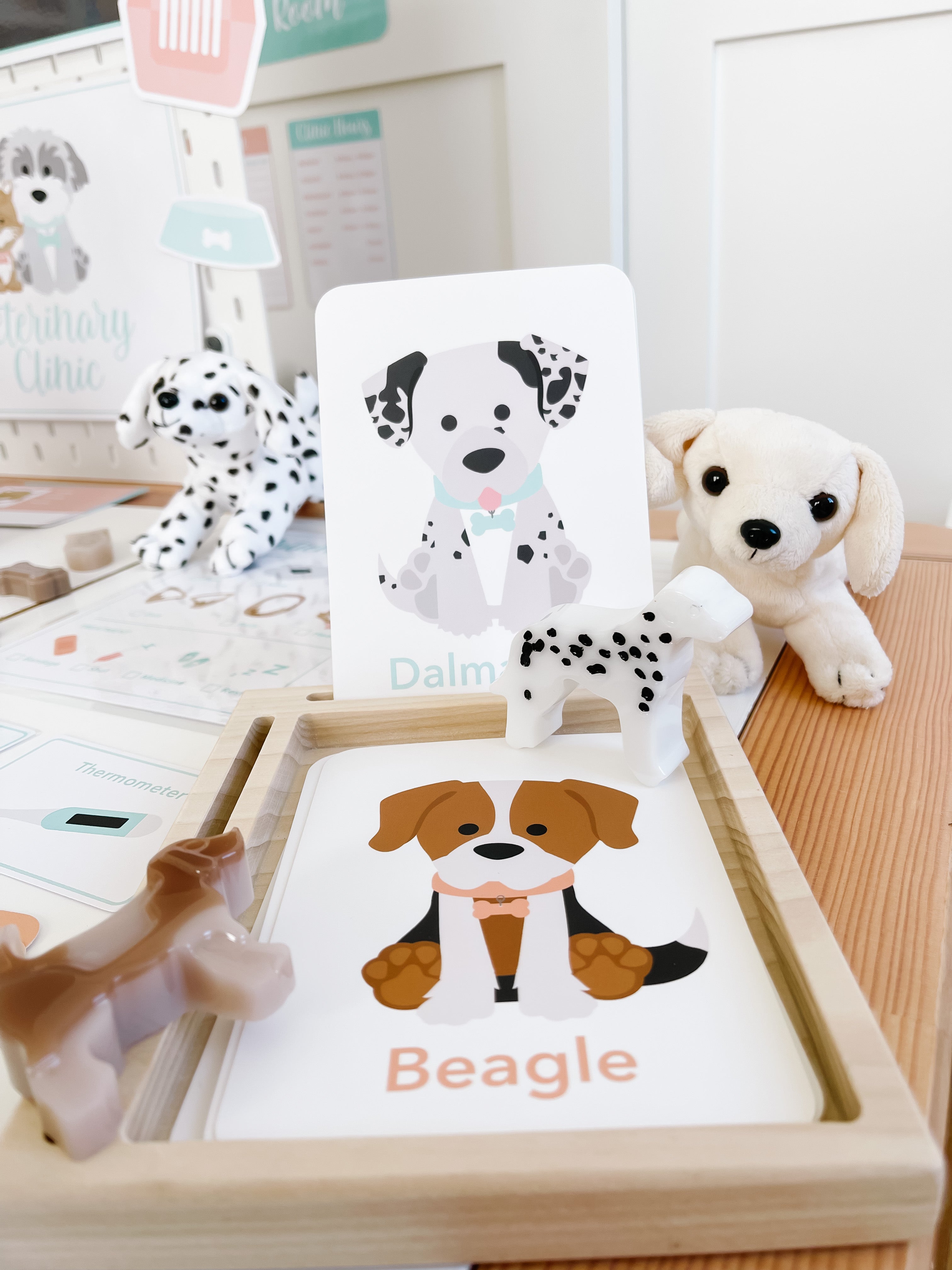 vet-clinic-dramatic-play-Gift-Baby-Toys-53