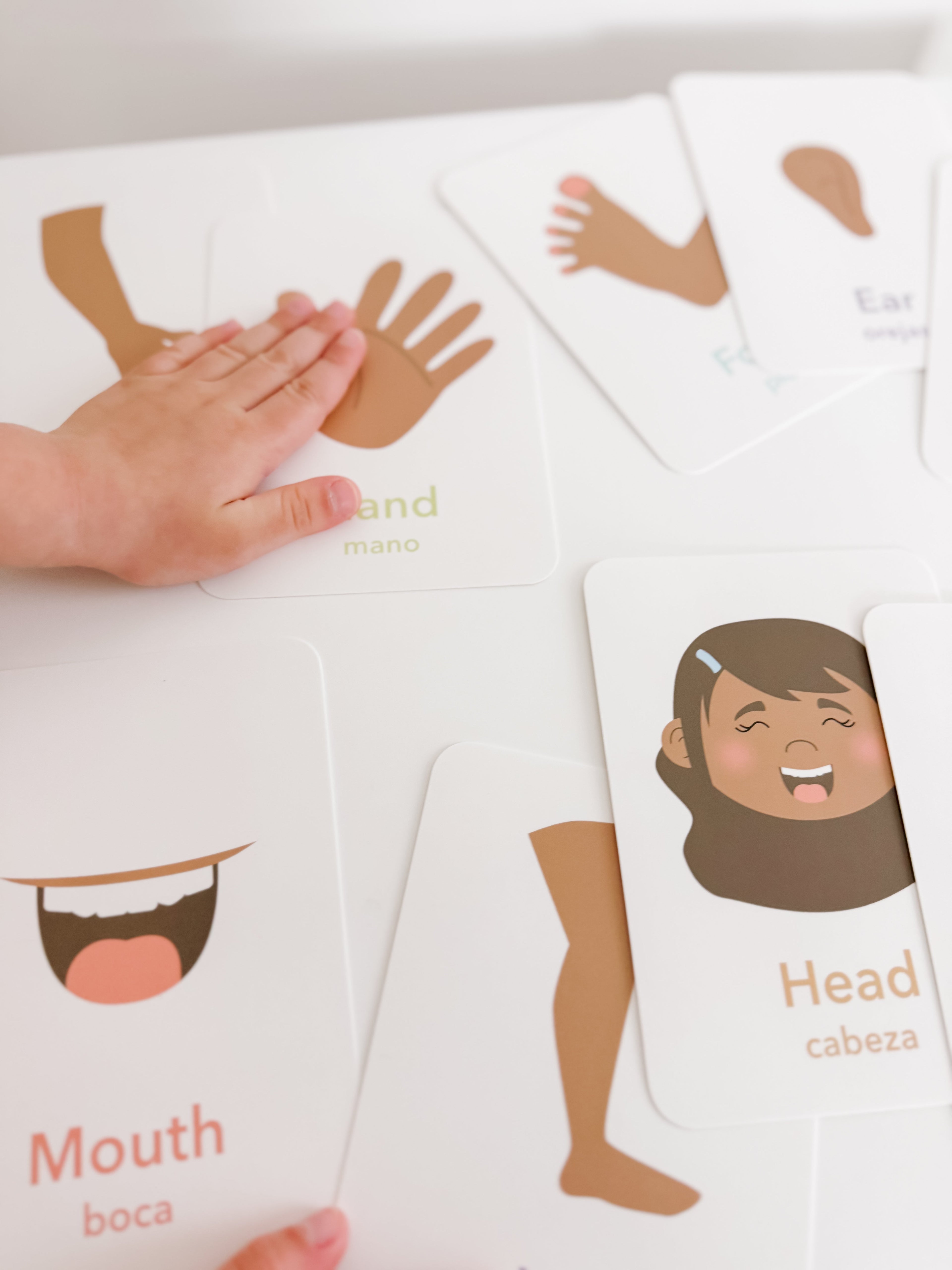 body-parts-flashcards-Gift-Baby-Toys-6