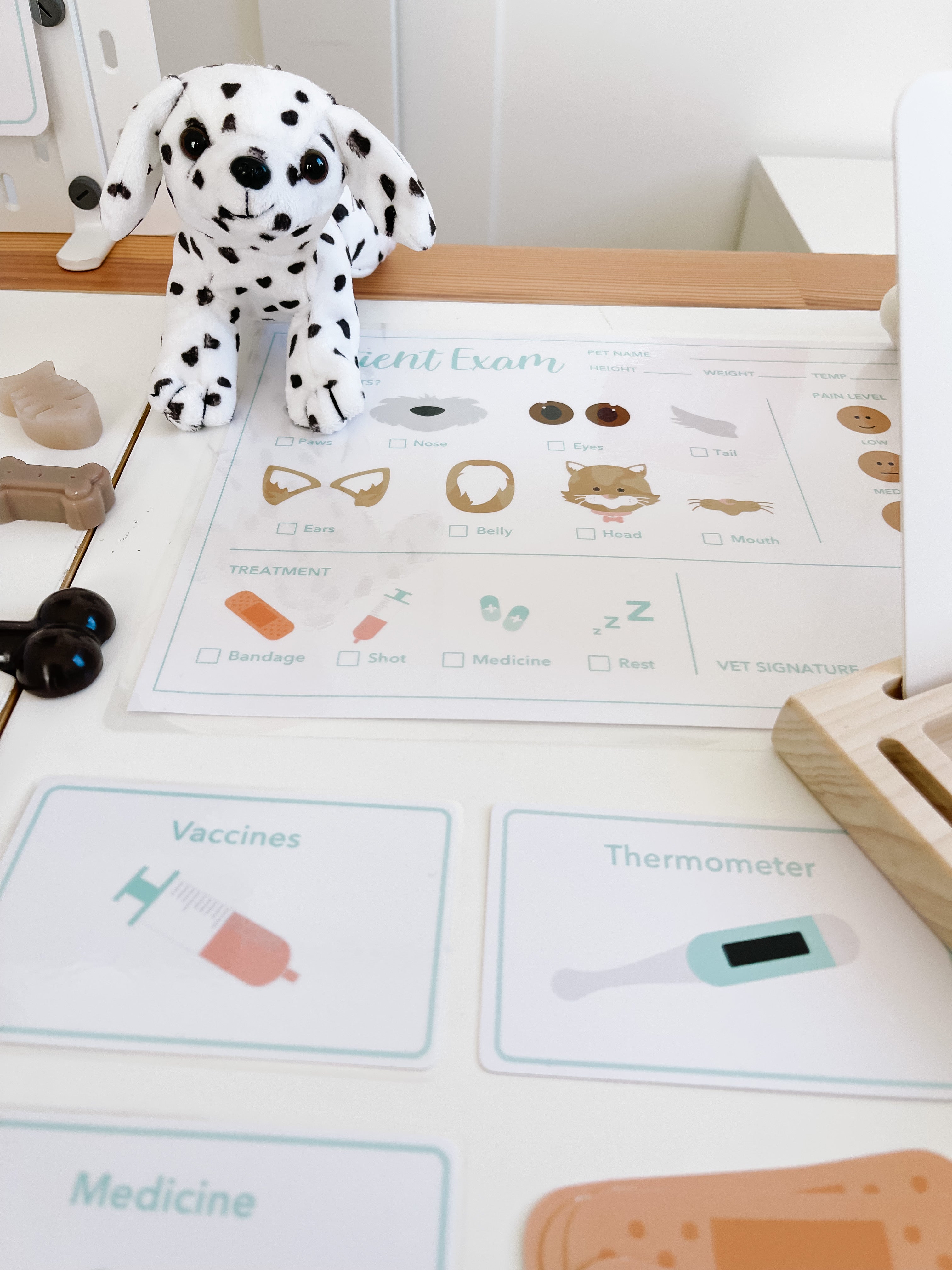 vet-clinic-dramatic-play-Gift-Baby-Toys-52