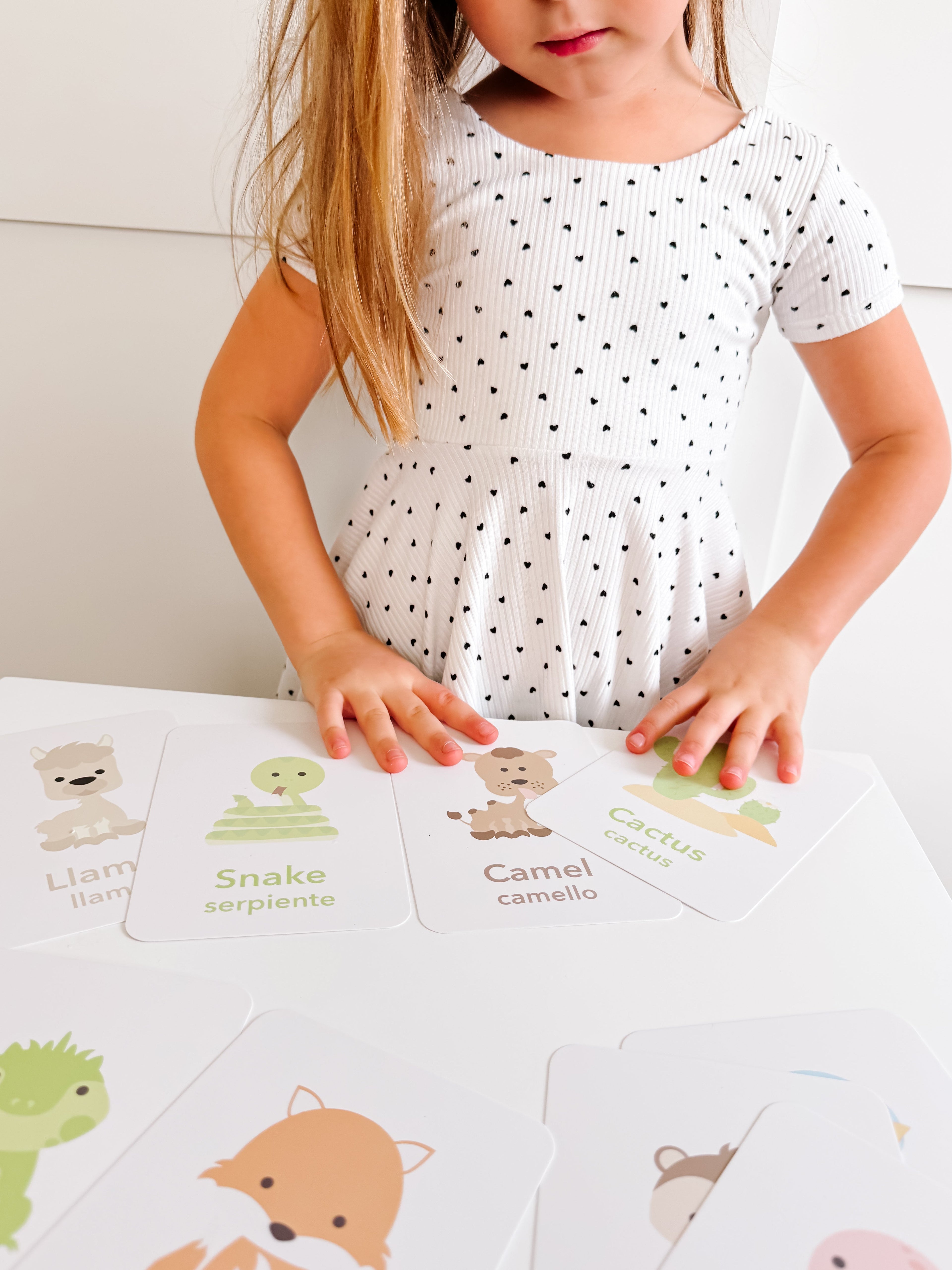 desert-animal-flashcards-Gift-Baby-Toys-11