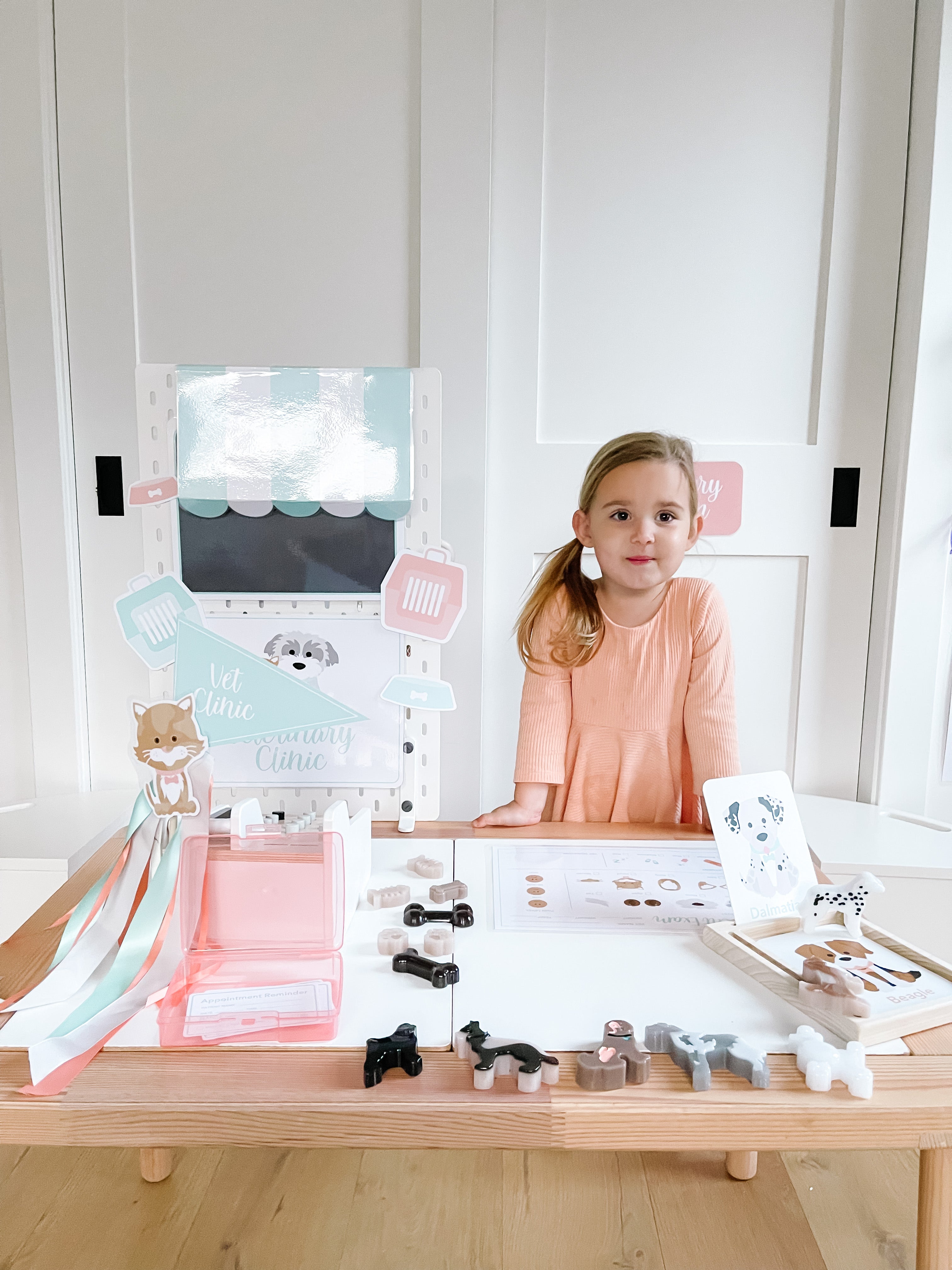 vet-clinic-dramatic-play-Gift-Baby-Toys-39