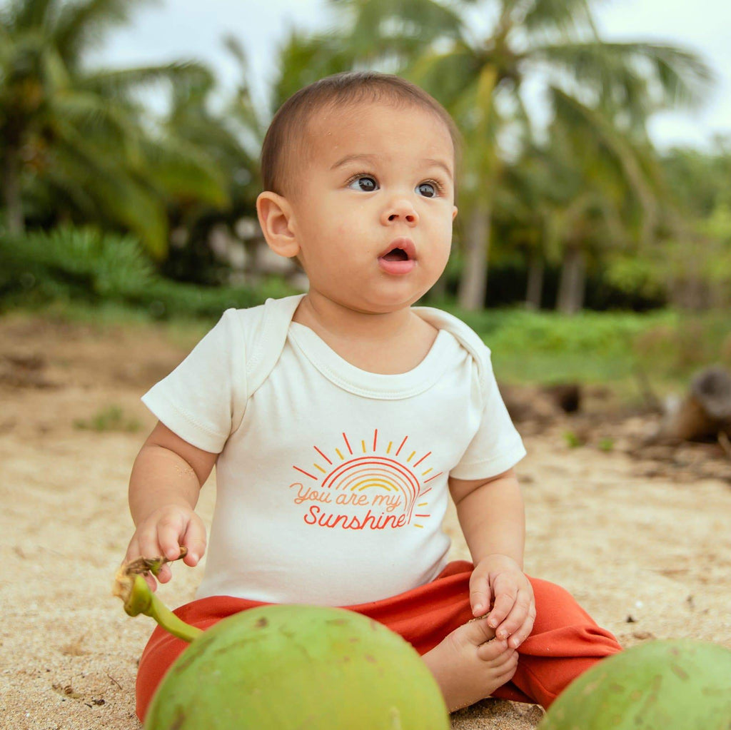 graphic-bodysuit-you-are-my-sunshine-Gift-Baby-Toys-3