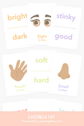 5-senses-flashcards-Gift-Baby-Toys-1