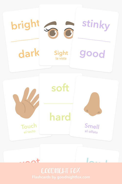 5-senses-flashcards-Gift-Baby-Toys-1