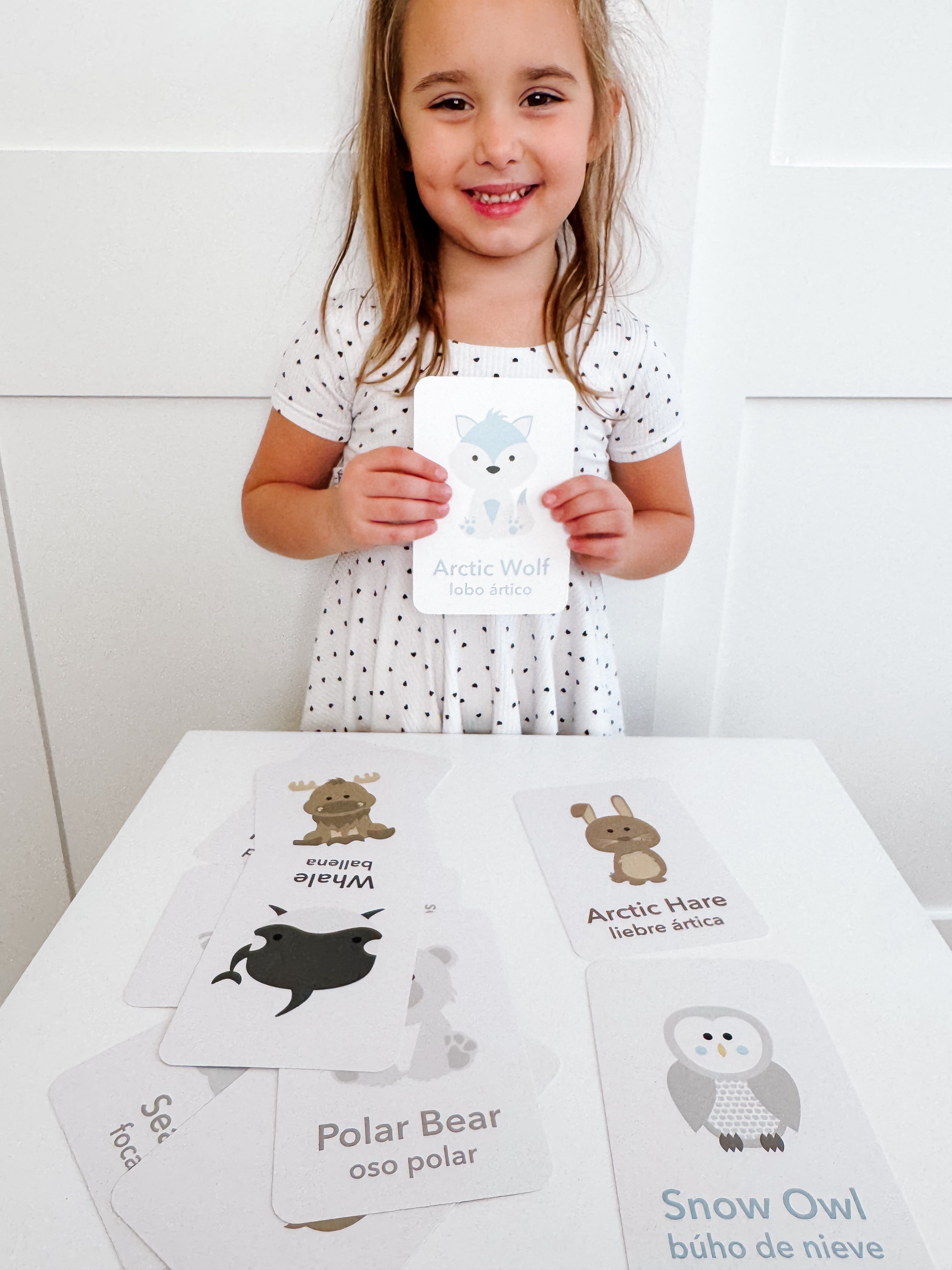 arctic-animals-flashcards-Gift-Baby-Toys-23
