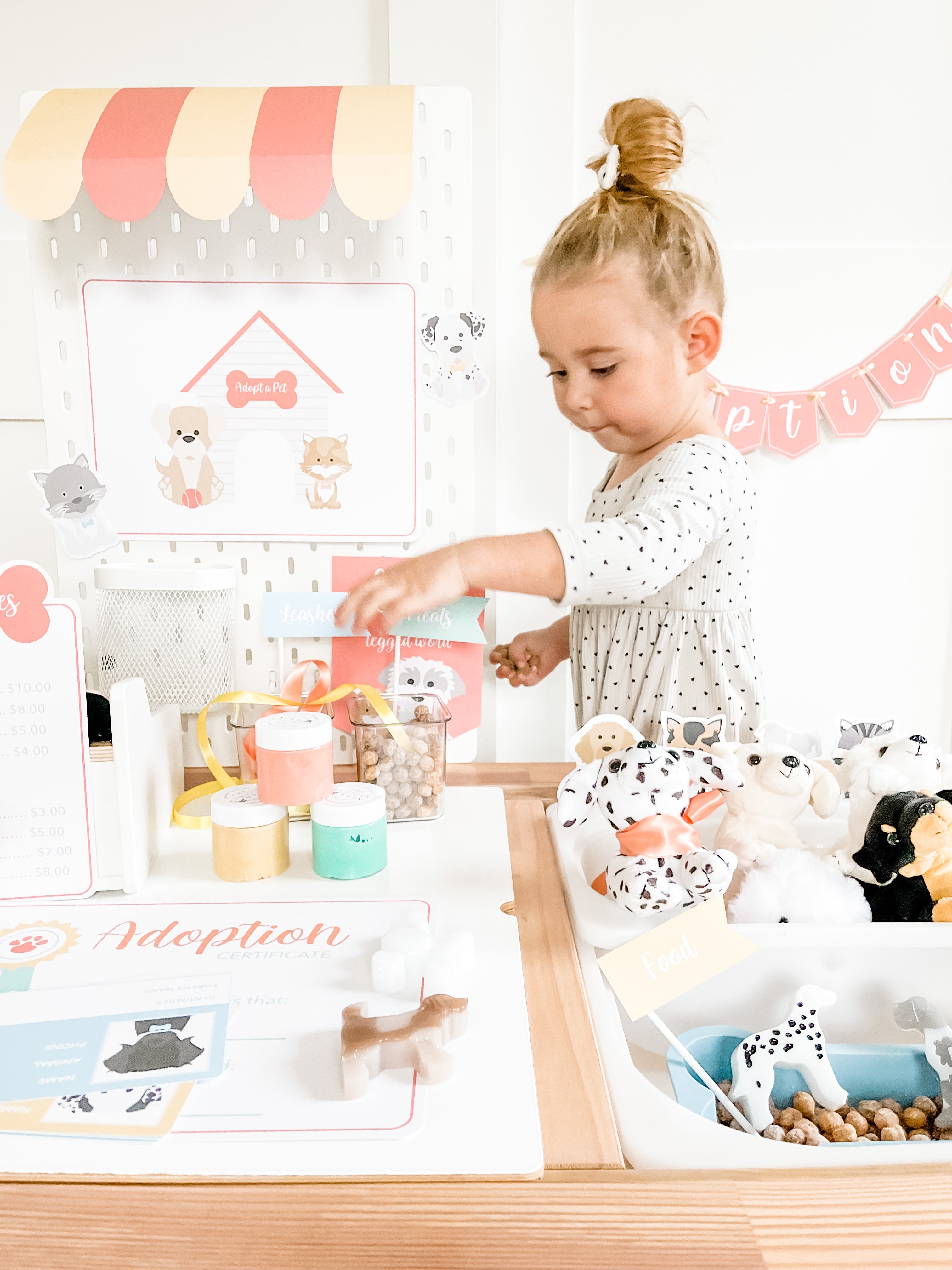 pet-adoption-clinic-dramatic-play-Gift-Baby-Toys-7
