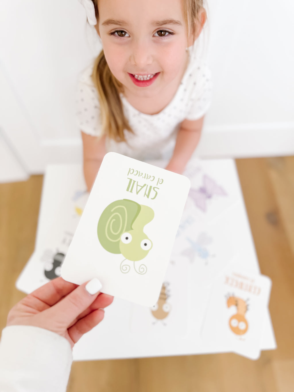 bugs-flashcards-Gift-Baby-Toys-24